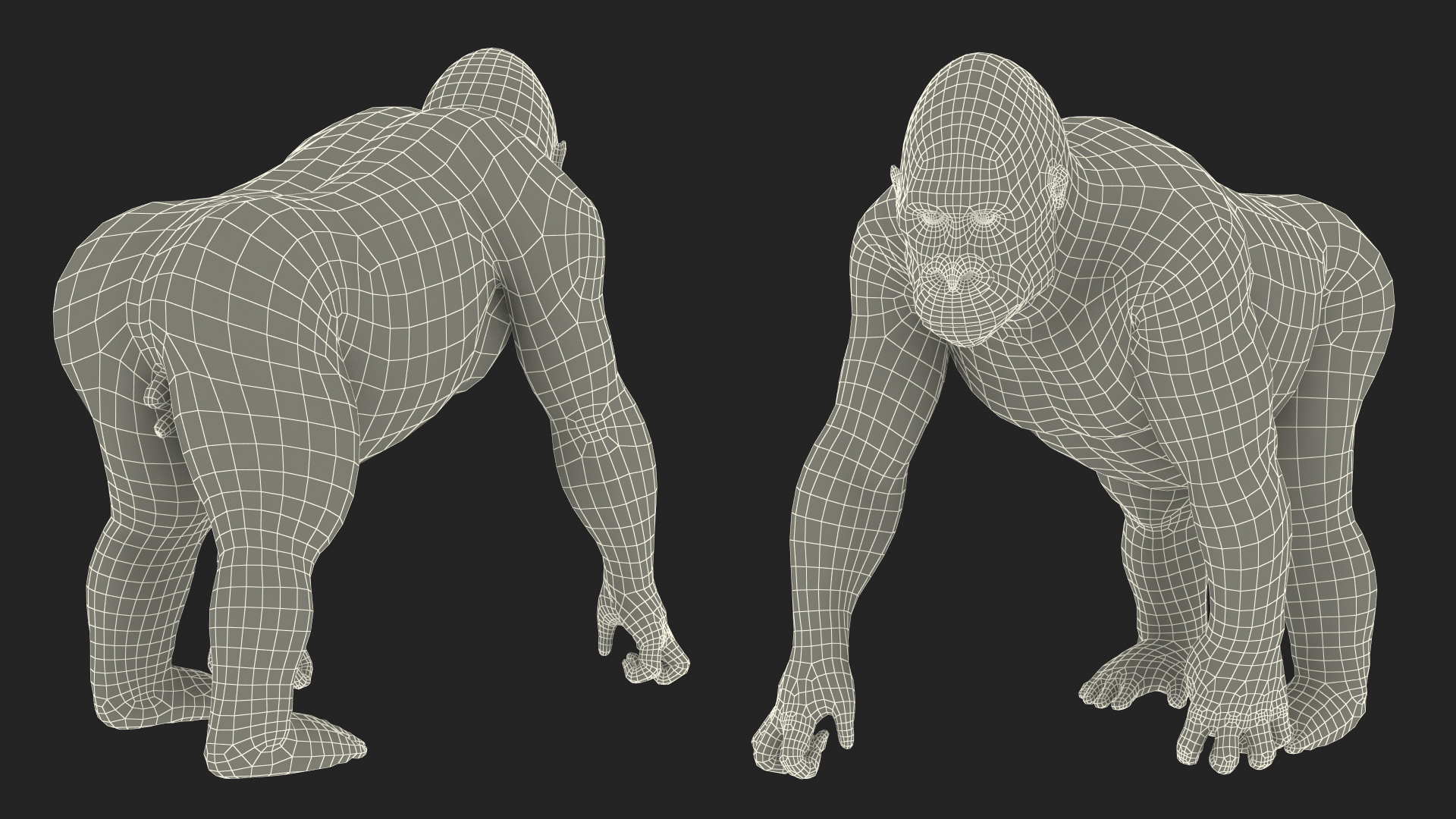 3D model Gorilla Western Lowland Walking Pose Fur
