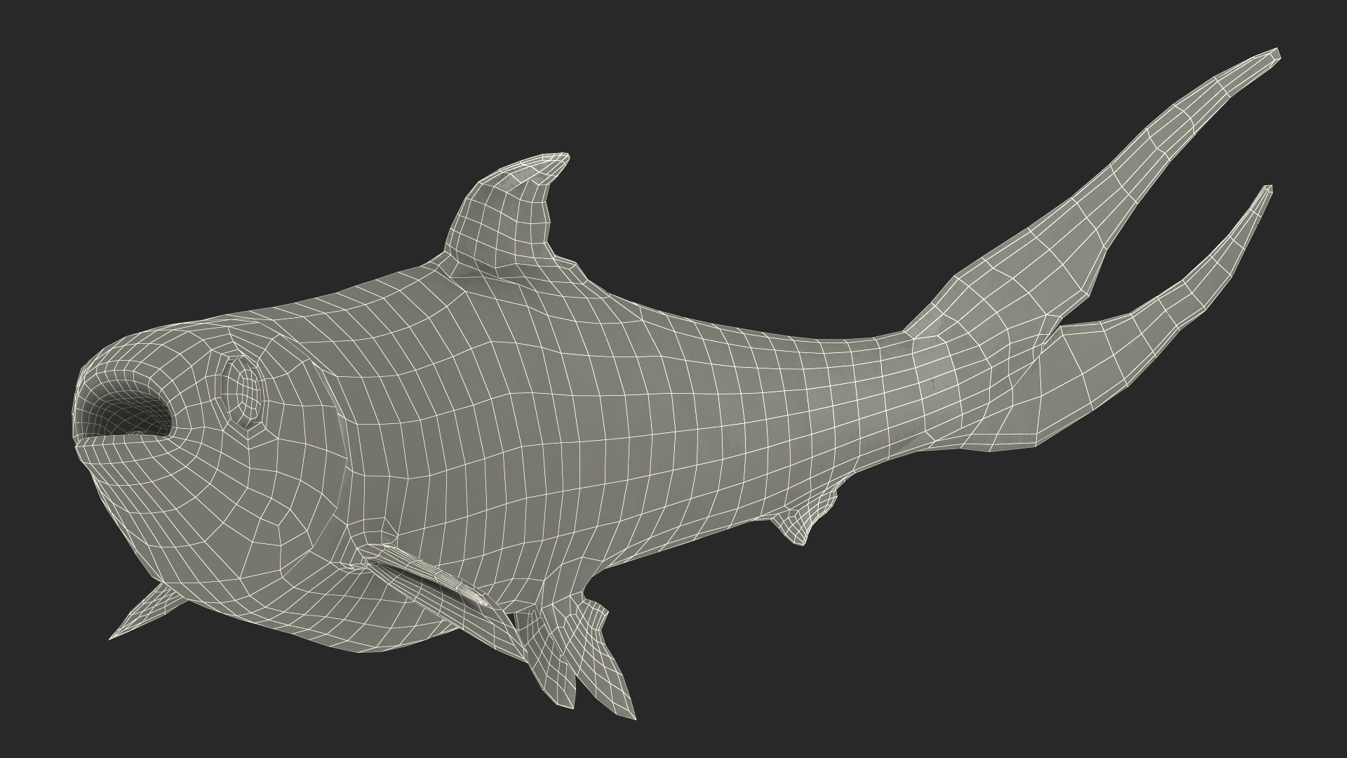 Chanos Chanos Rigged for Cinema 4D 3D model