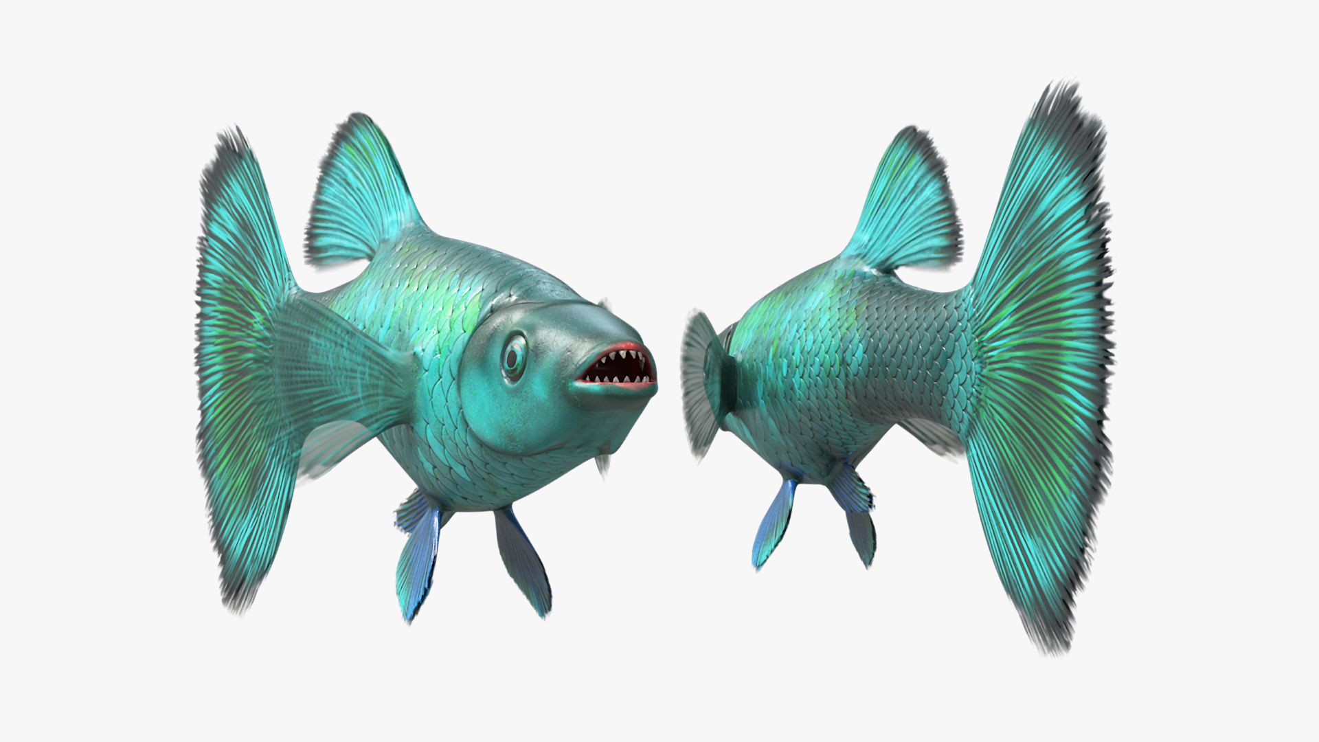 Guppy Fish Malachite Rigged 3D
