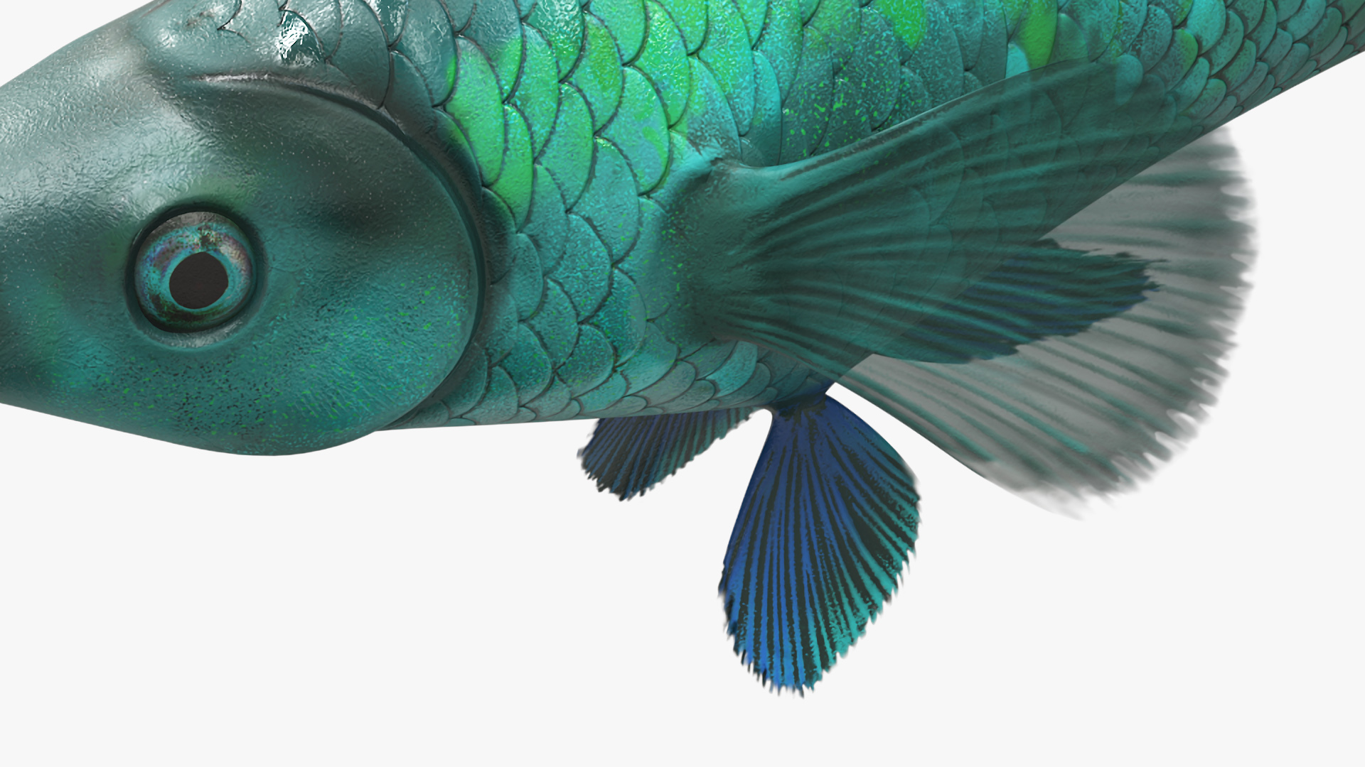 Guppy Fish Malachite Rigged 3D