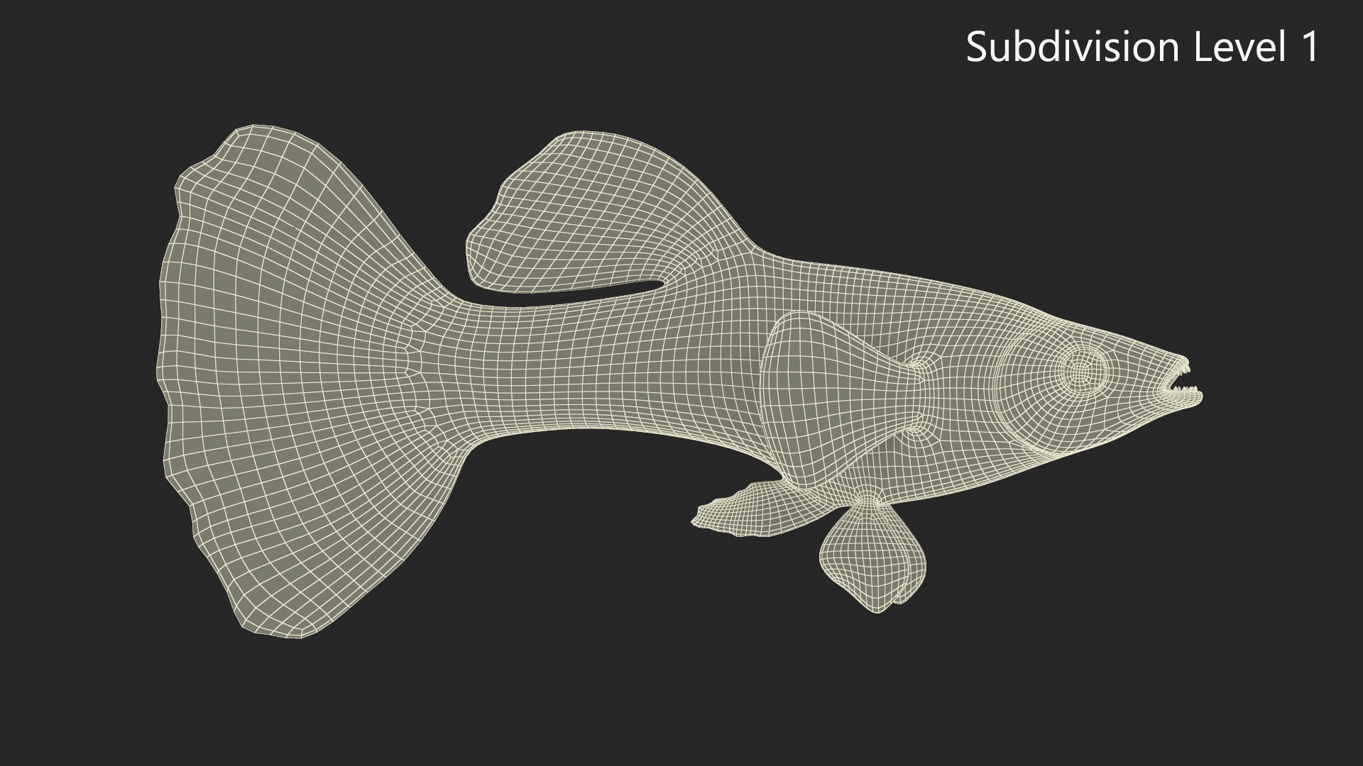 Guppy Fish Malachite Rigged 3D