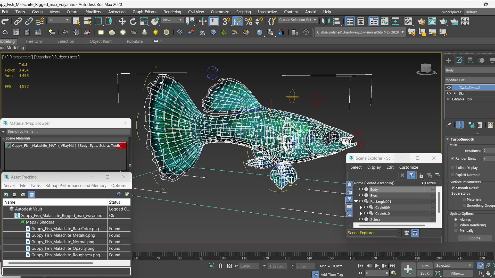 Guppy Fish Malachite Rigged 3D