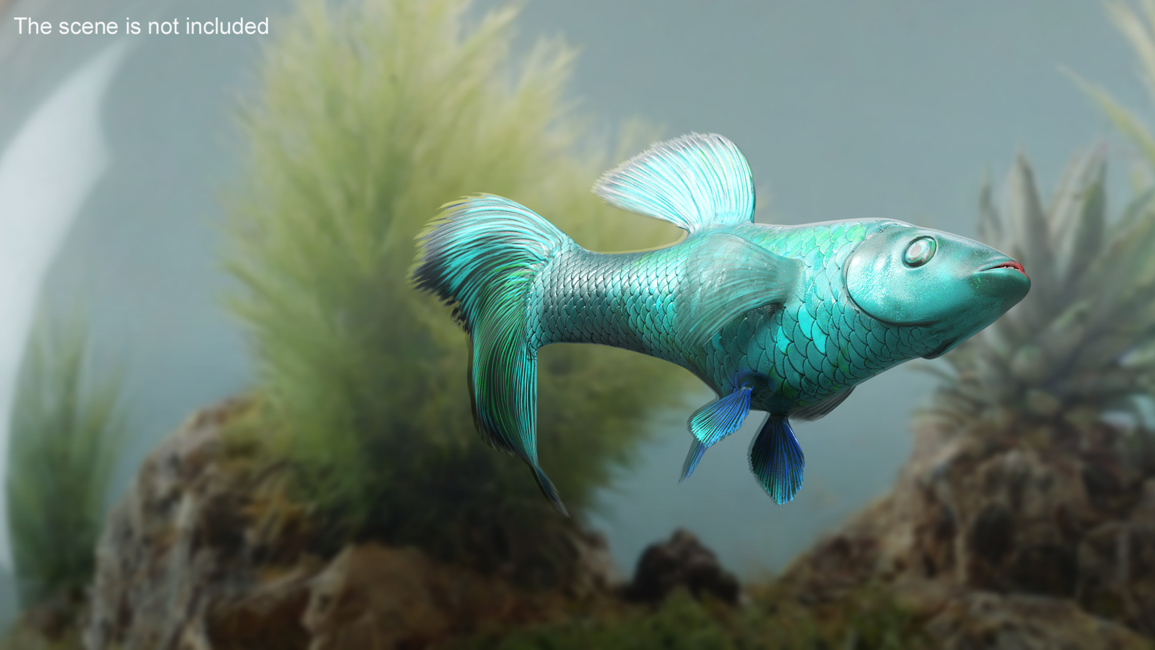 Guppy Fish Malachite Rigged 3D