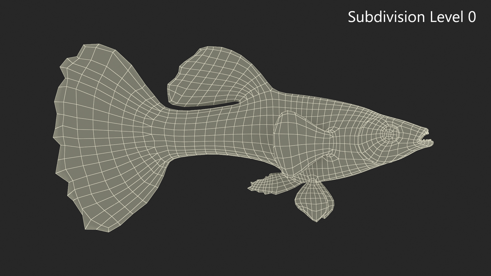 Guppy Fish Malachite Rigged 3D
