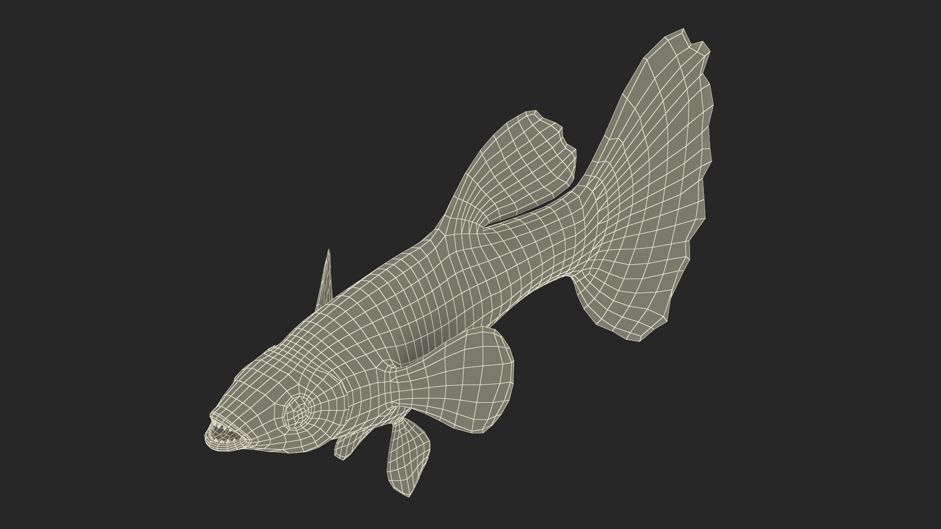 Guppy Fish Malachite Rigged 3D