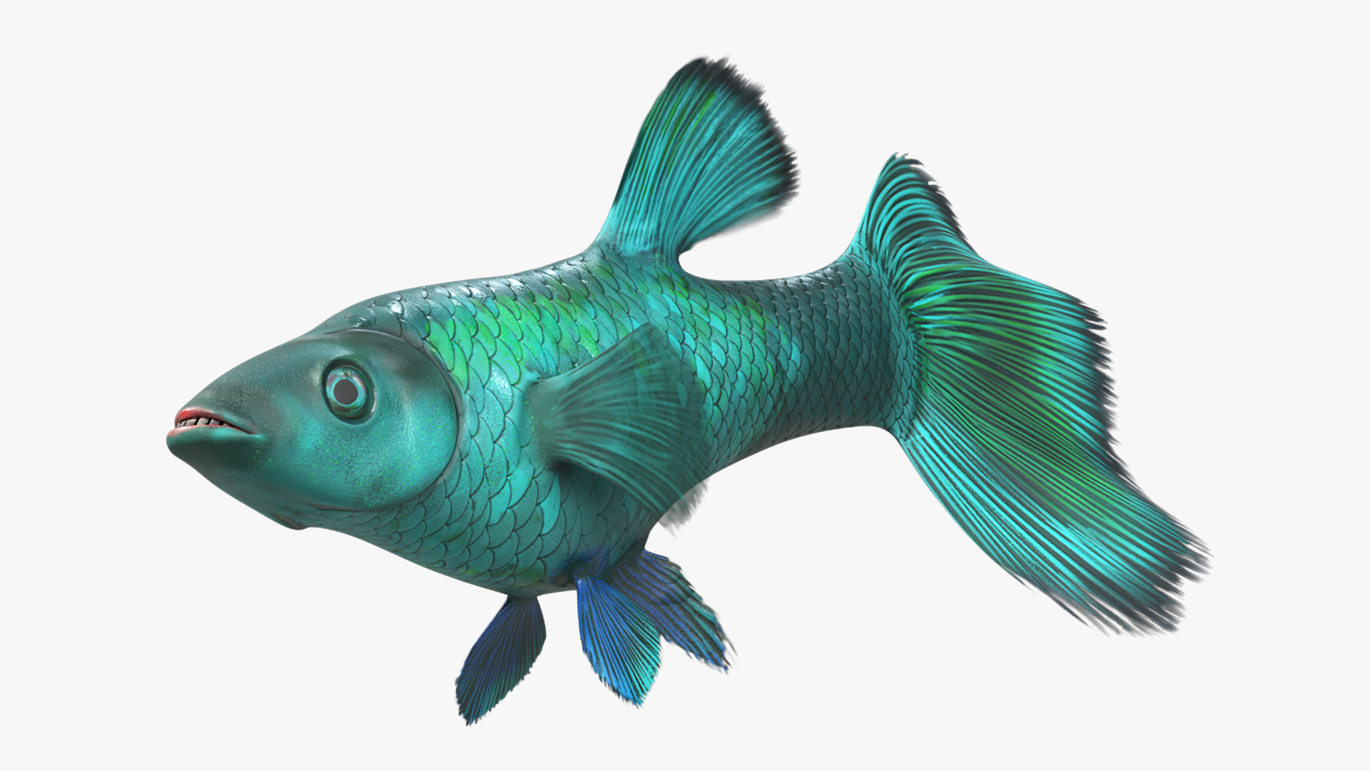 Guppy Fish Malachite Rigged 3D