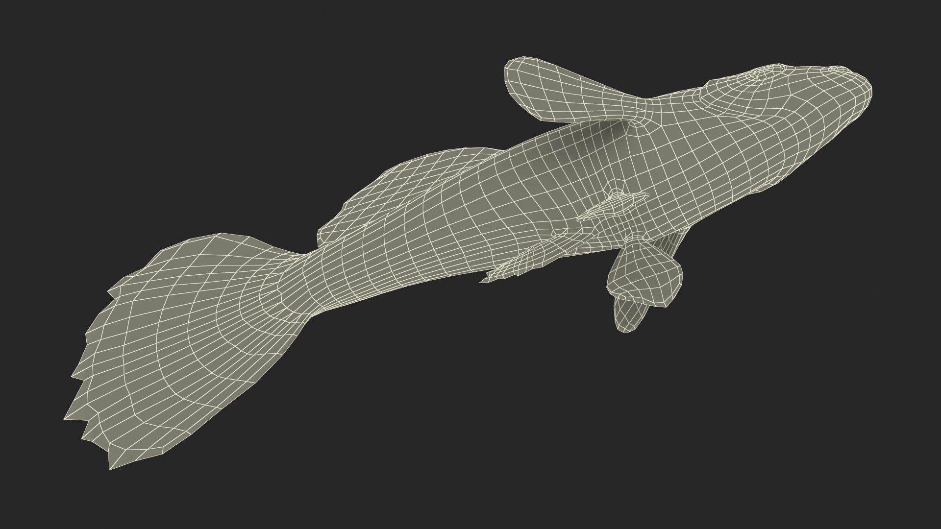 Guppy Fish Malachite Rigged 3D