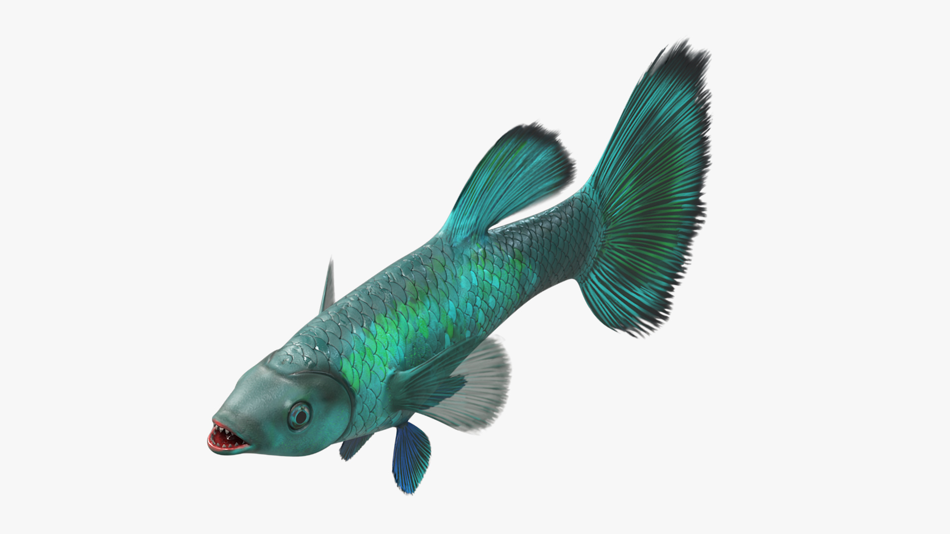 Guppy Fish Malachite Rigged 3D