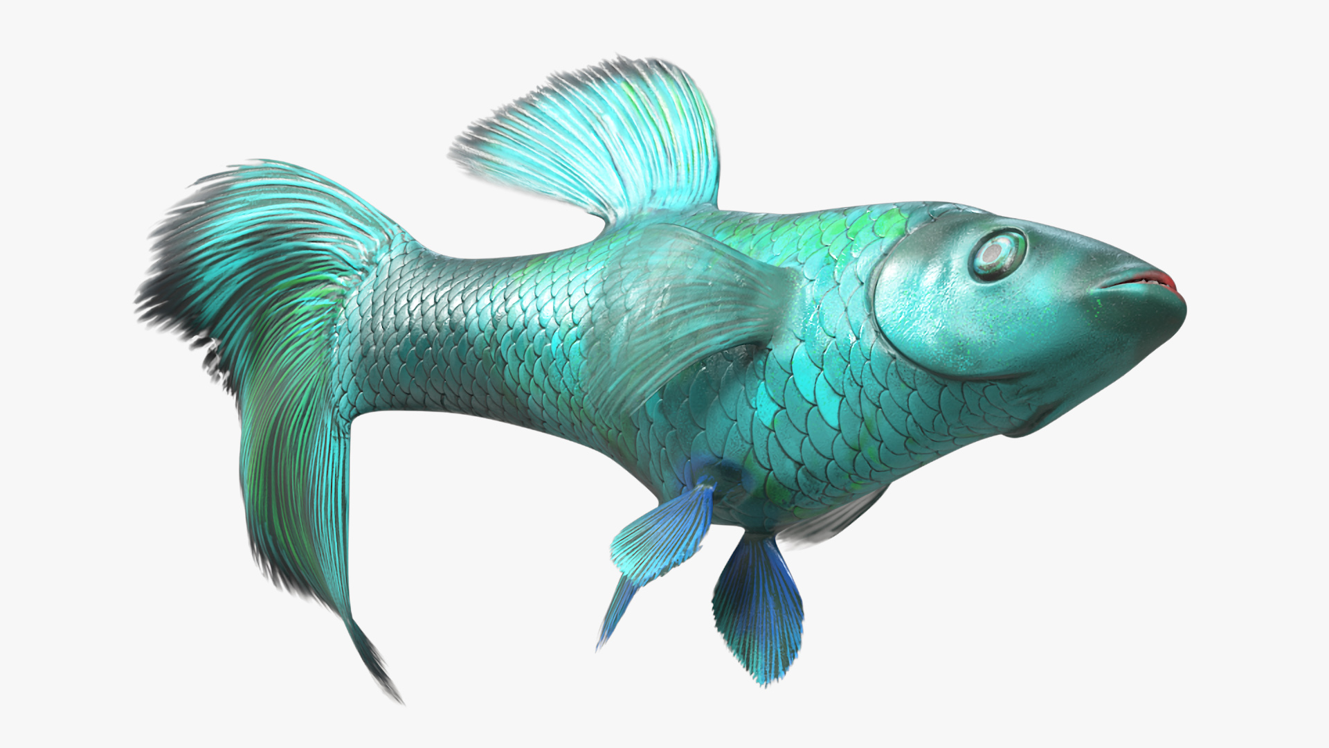 Guppy Fish Malachite Rigged 3D