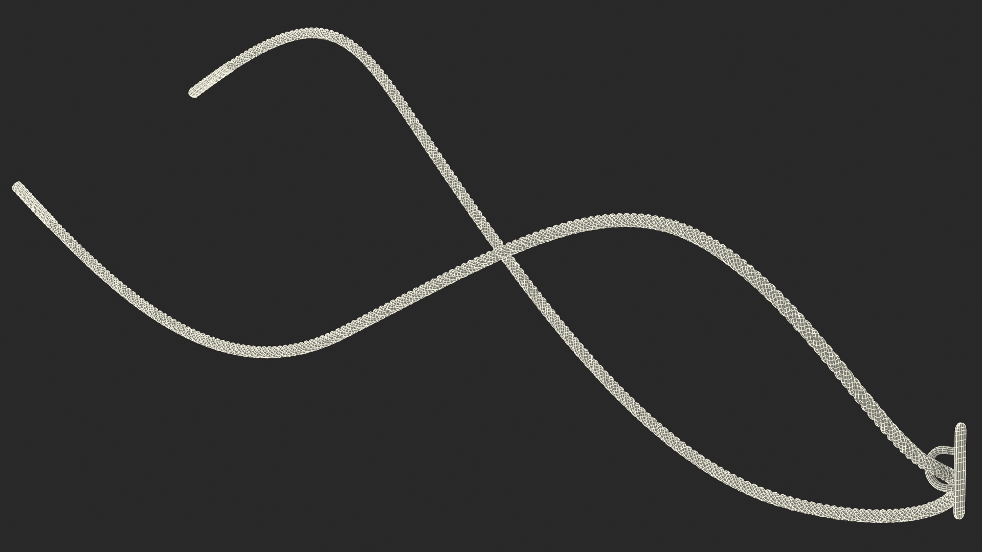 3D Battle Rope Alternating Waves Position model