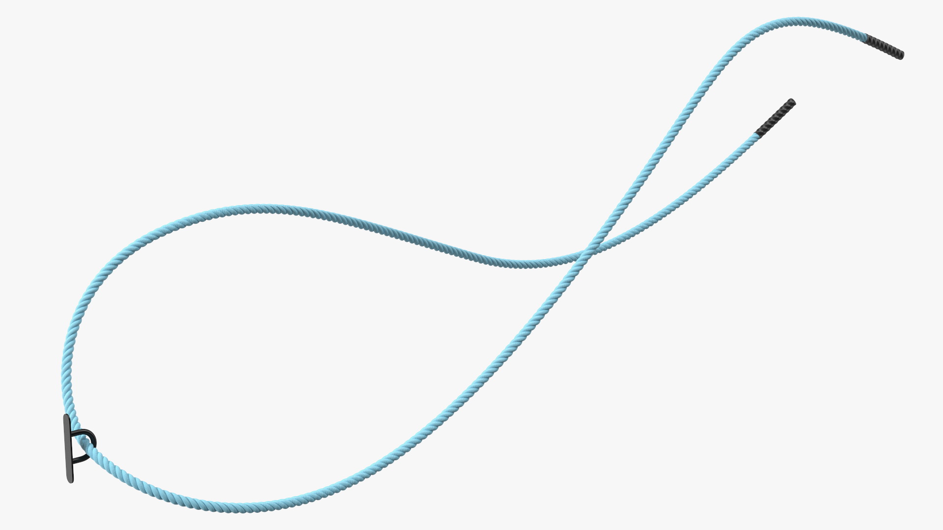 3D Battle Rope Alternating Waves Position model