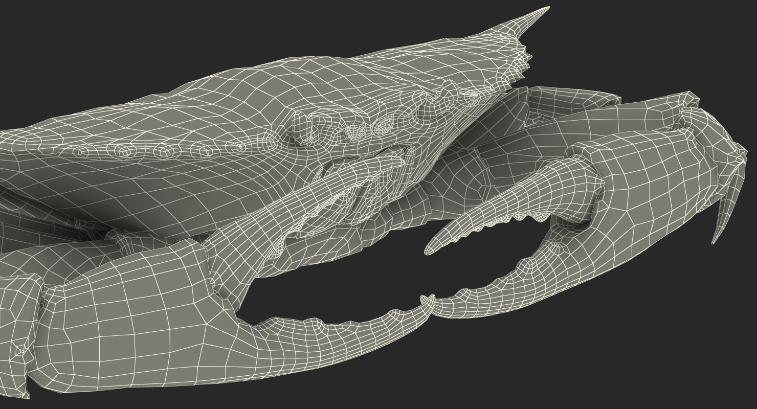 3D model Chesapeake Blue Crab