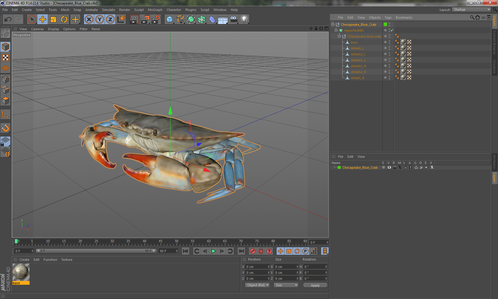 3D model Chesapeake Blue Crab