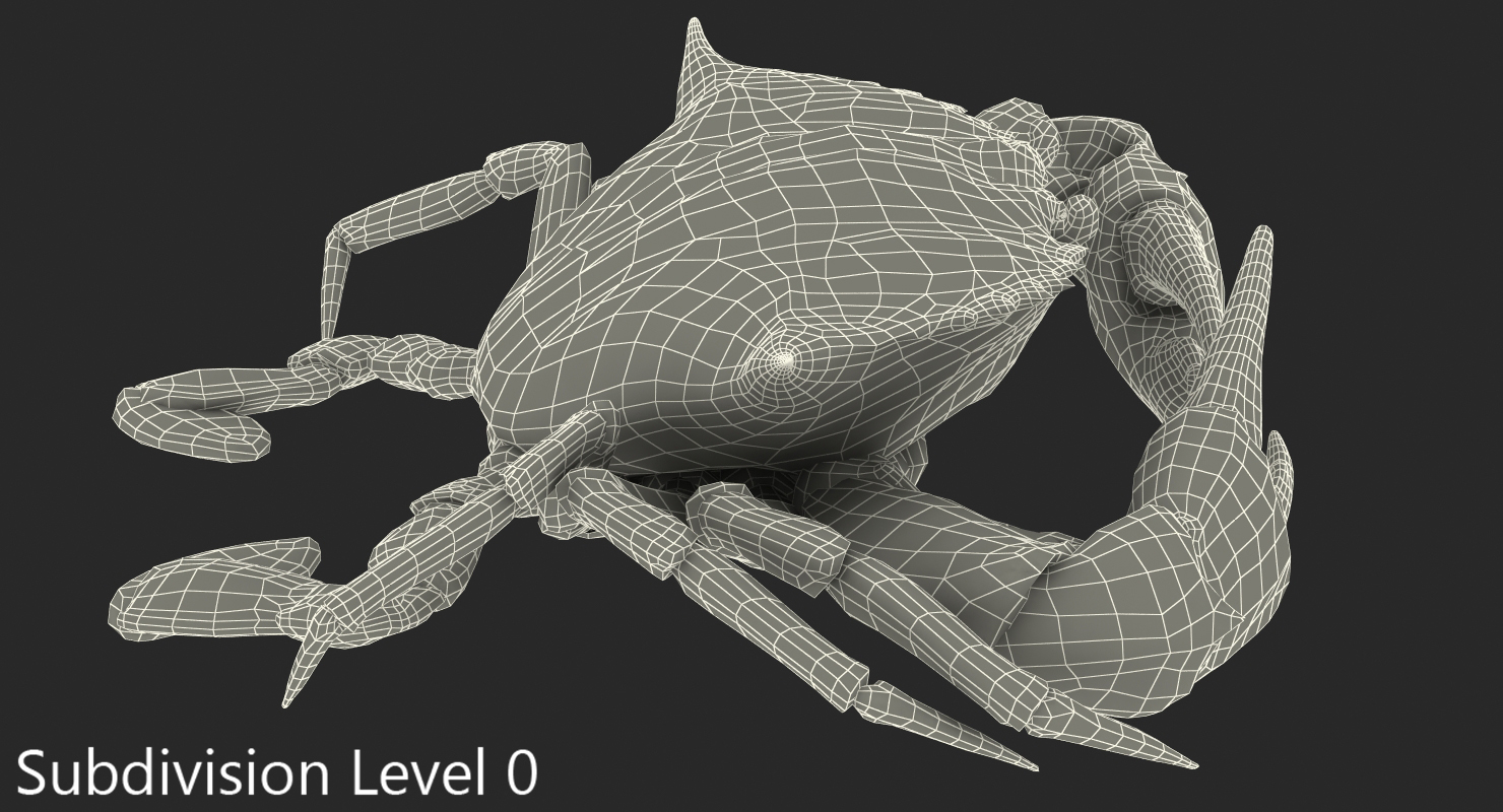 3D model Chesapeake Blue Crab
