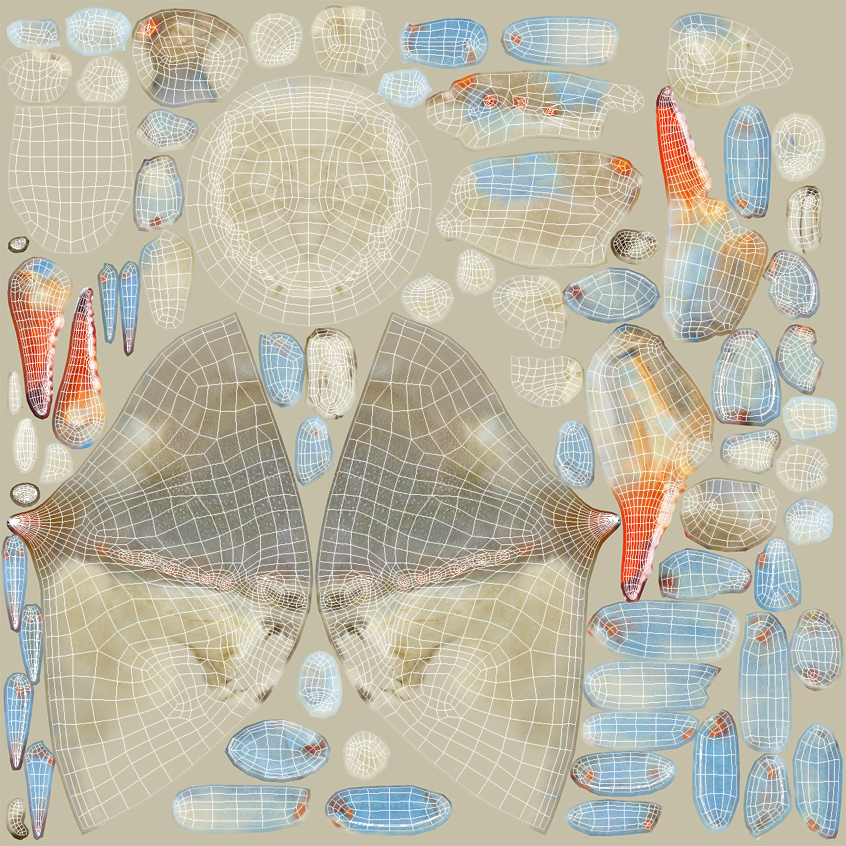 3D model Chesapeake Blue Crab