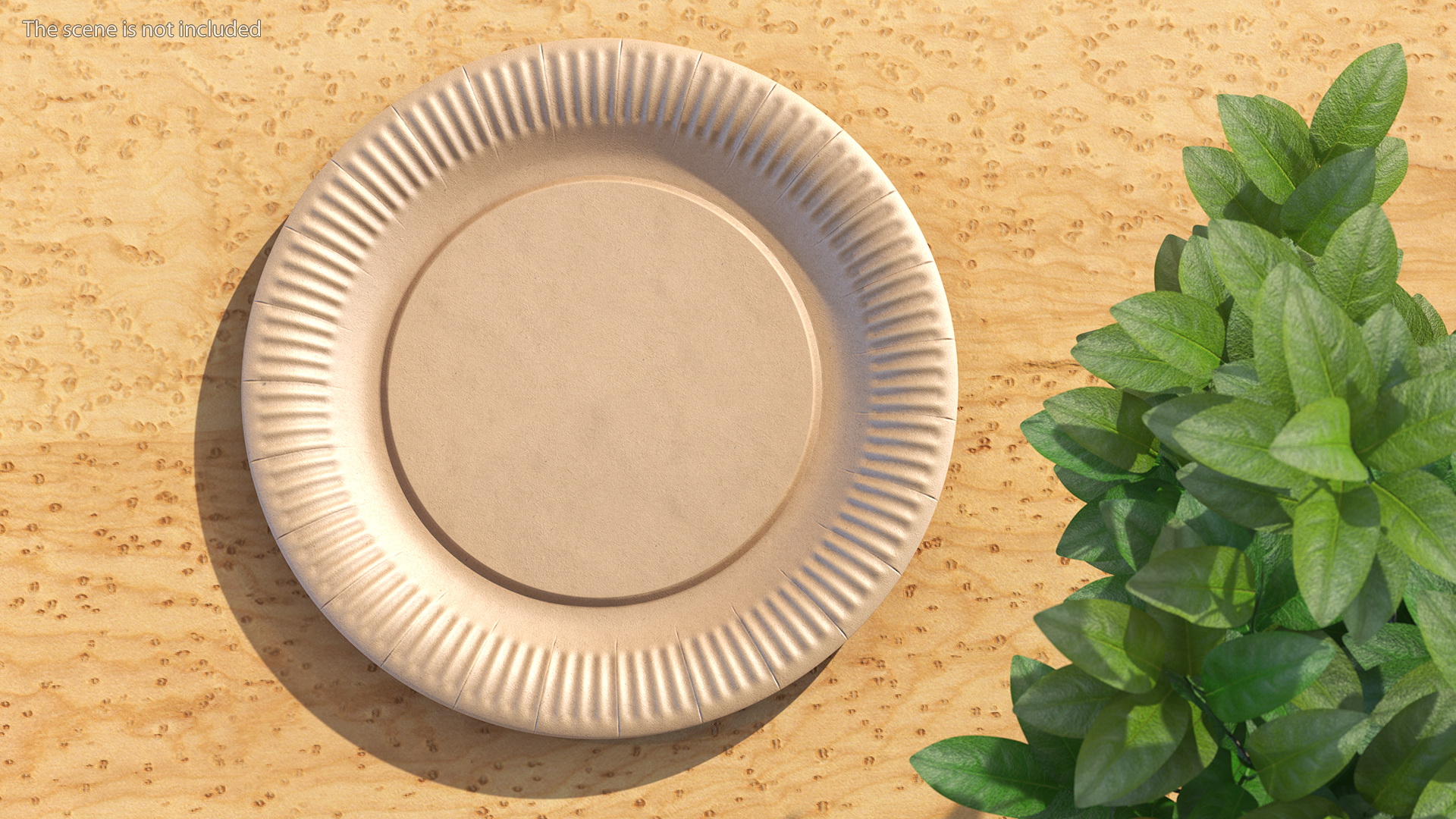 3D model Cardboard Plate