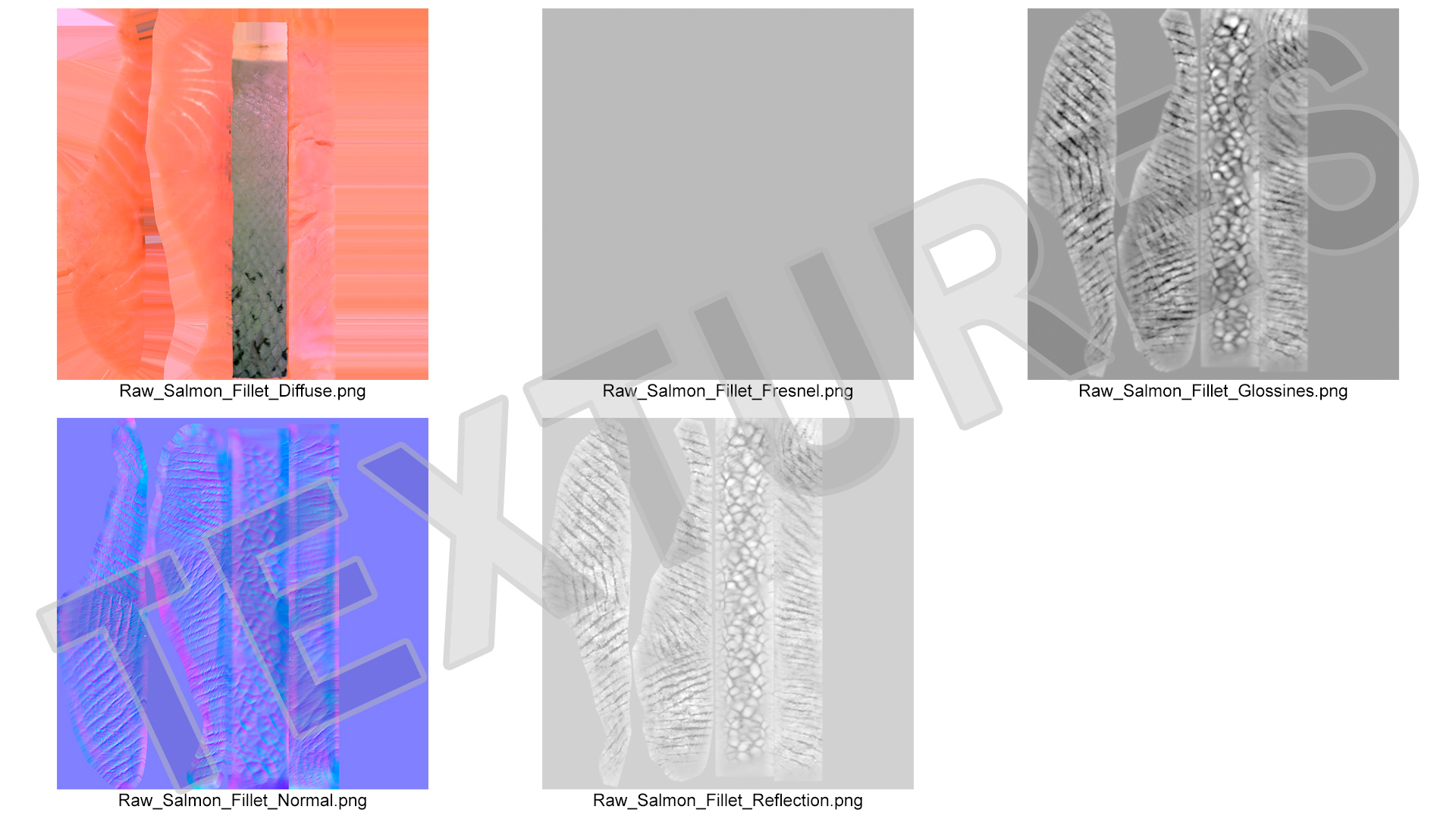 Raw Salmon Fillet 3D