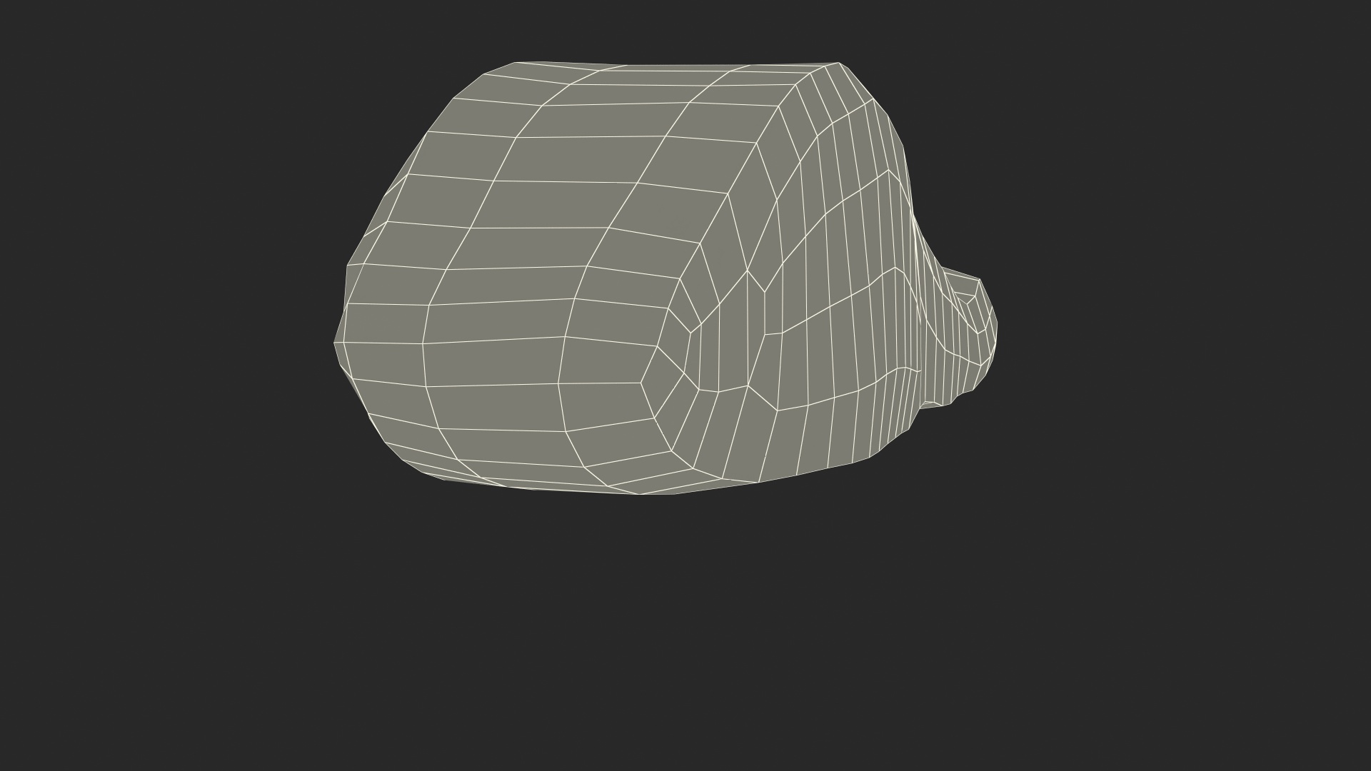 Raw Salmon Fillet 3D