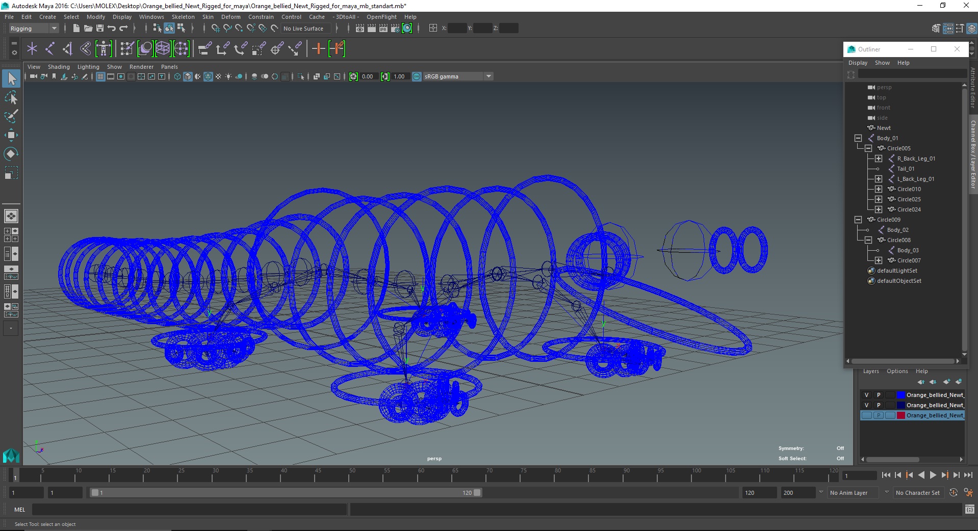 3D model Orange-bellied Newt Rigged for Maya