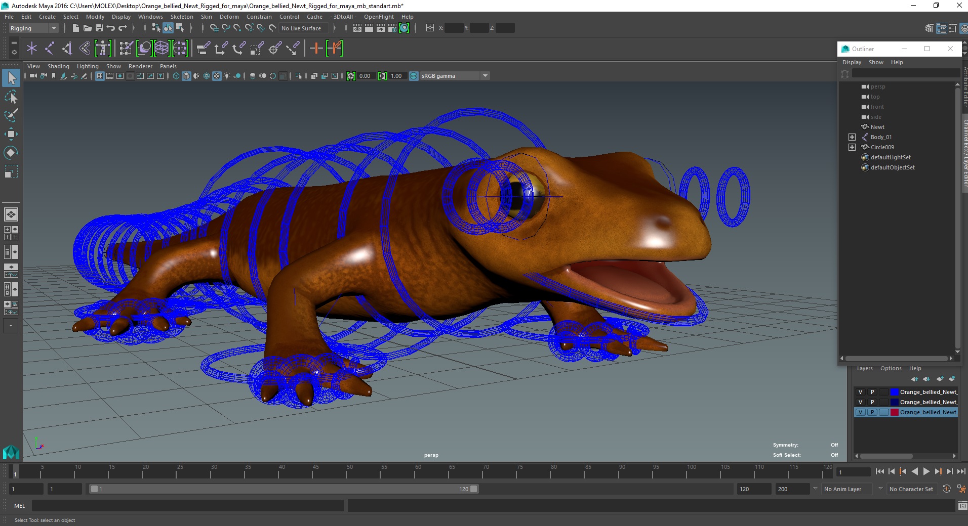 3D model Orange-bellied Newt Rigged for Maya