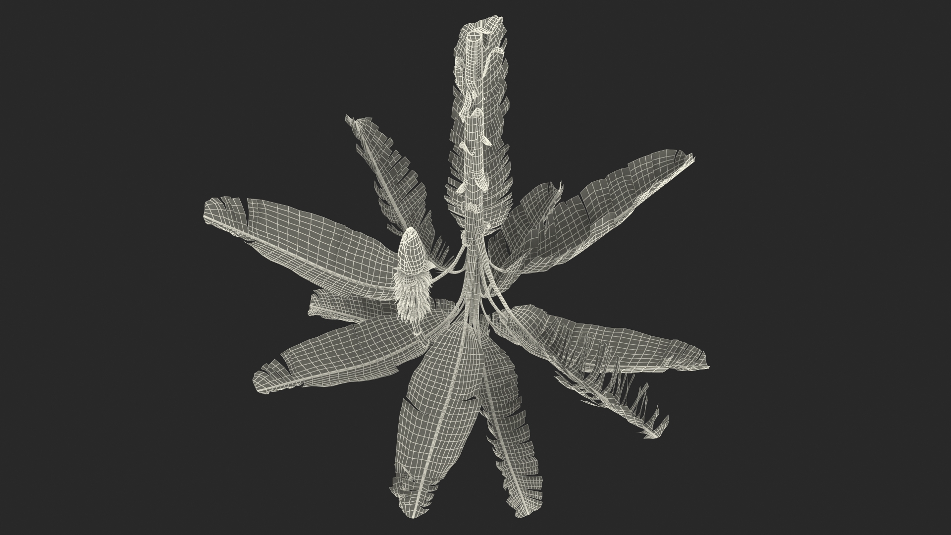 3D Blooming Banana Tree with Green Banana Cluster