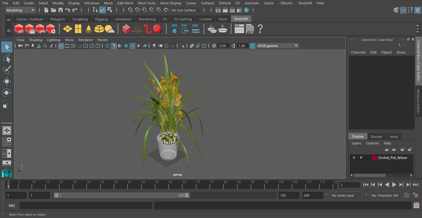 Orchid Pot Yellow 3D