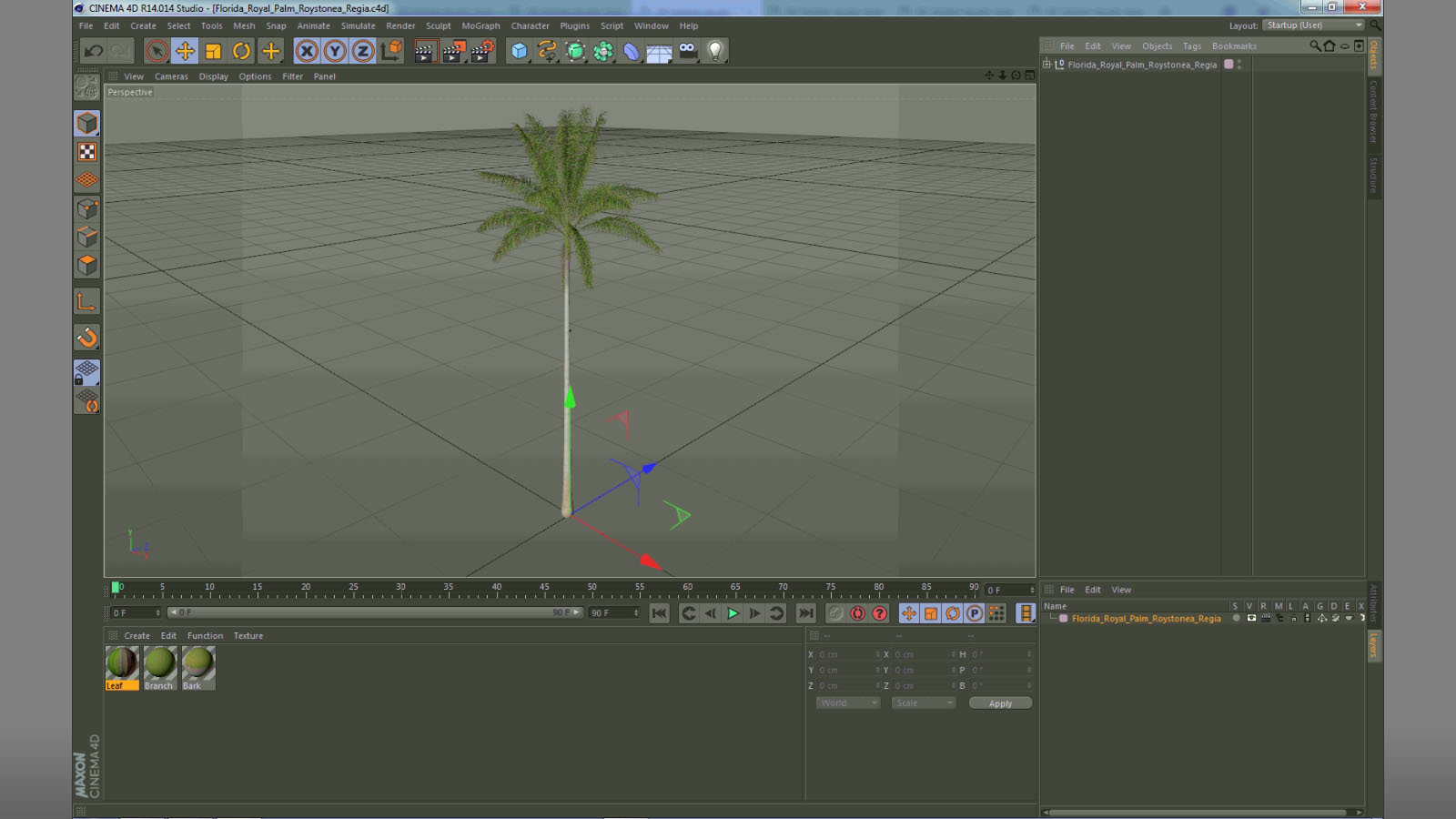 Florida Royal Palm Roystonea Regia 3D model