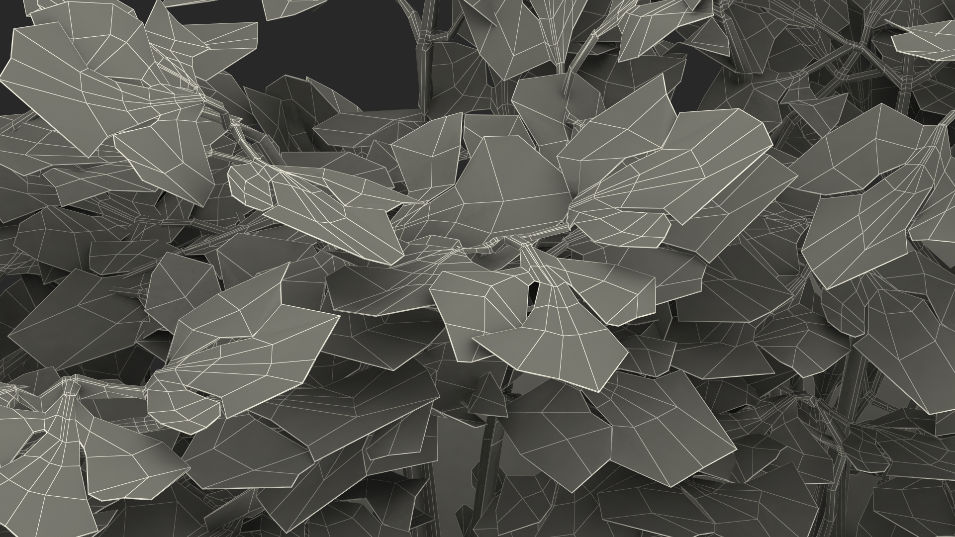 3D model Parsley Grows in Row