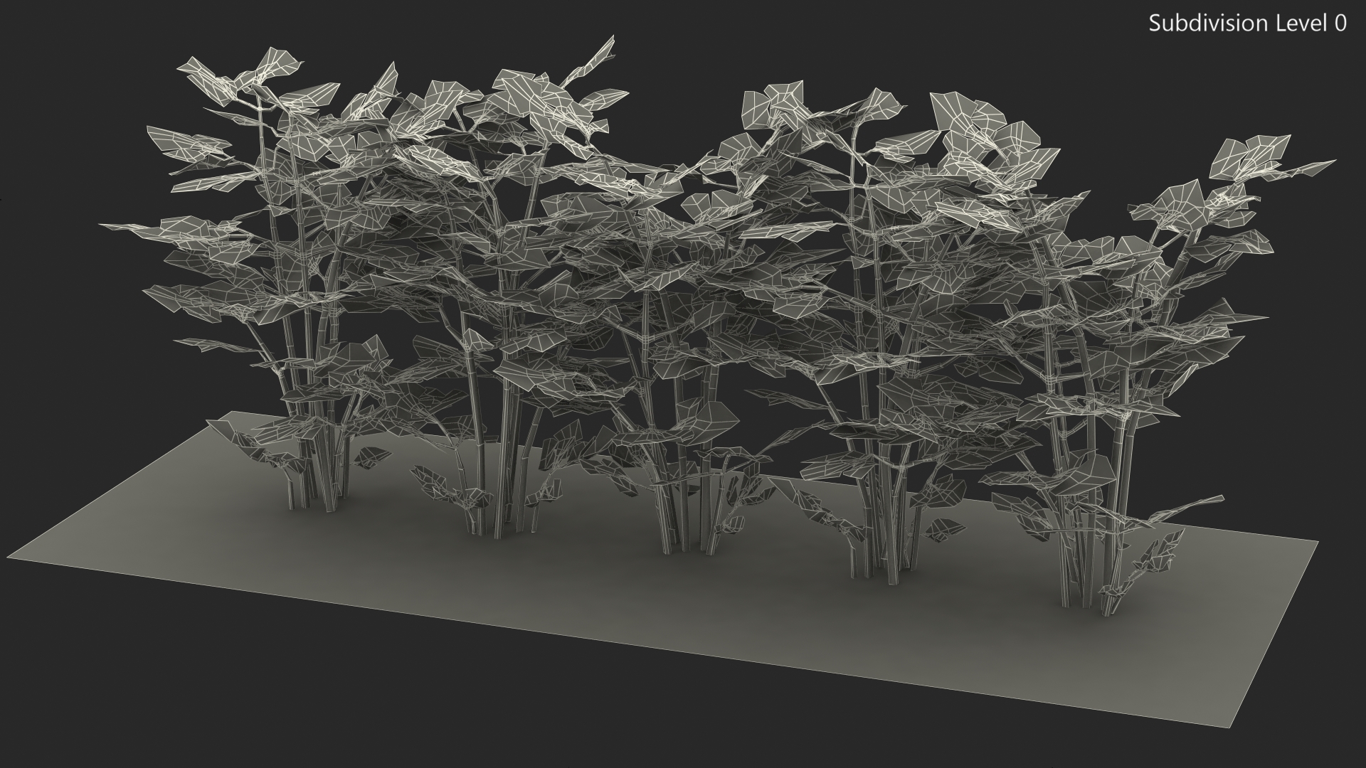 3D model Parsley Grows in Row