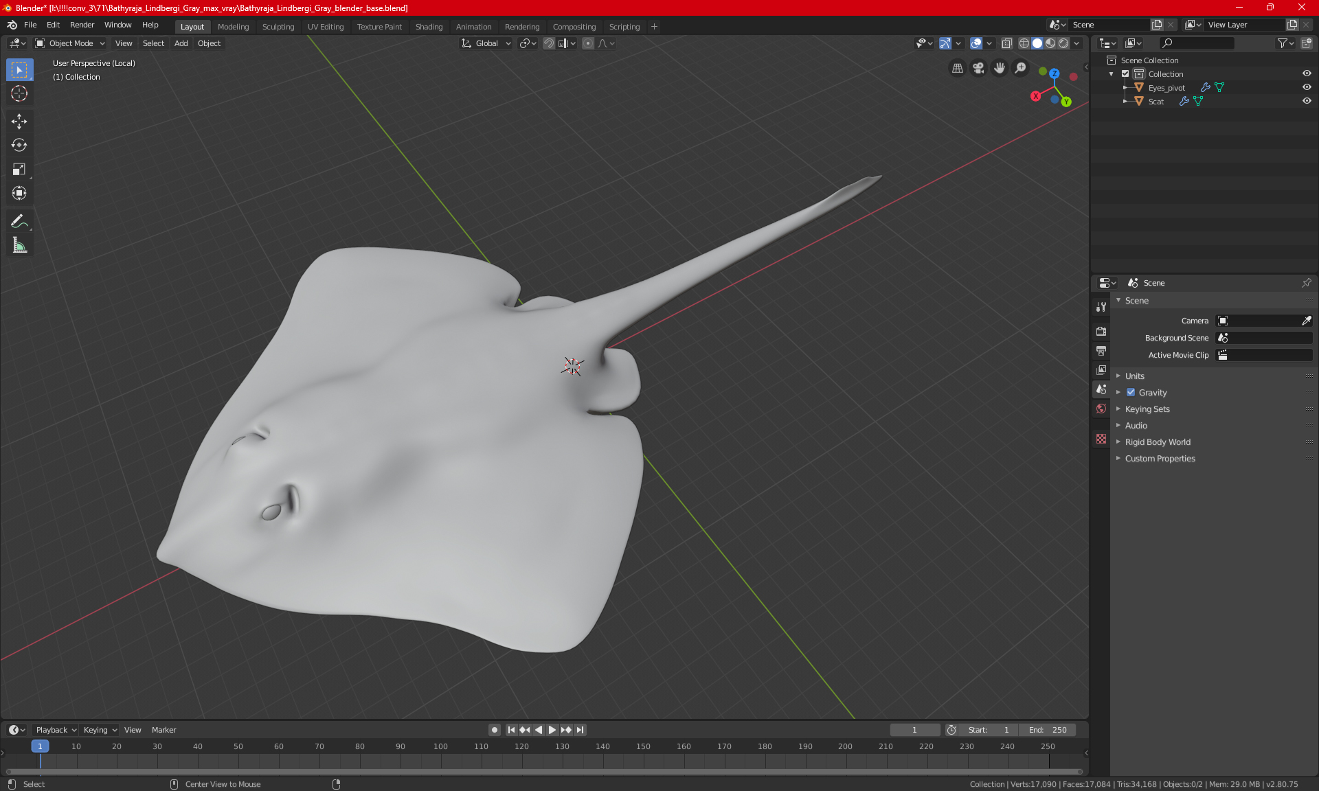 Bathyraja Lindbergi Gray 3D model