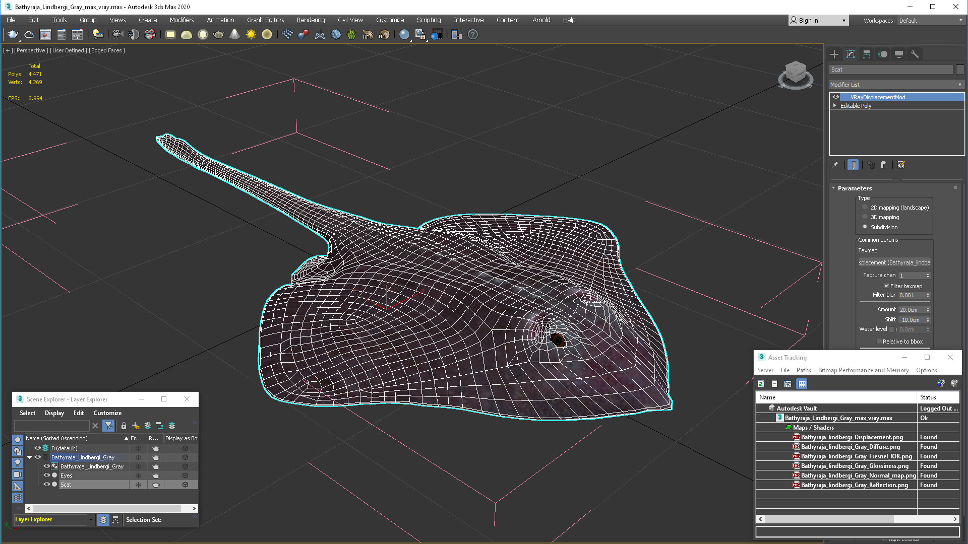 Bathyraja Lindbergi Gray 3D model