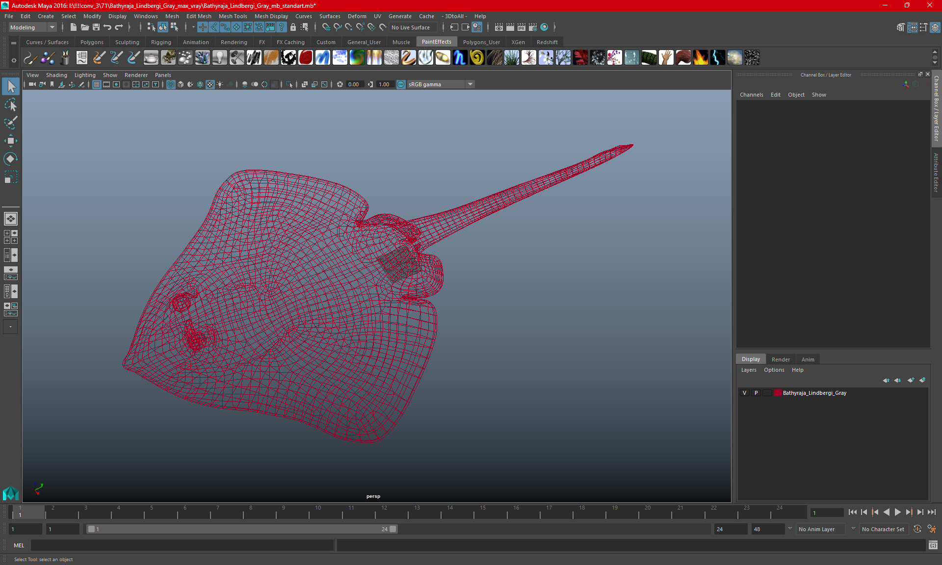 Bathyraja Lindbergi Gray 3D model