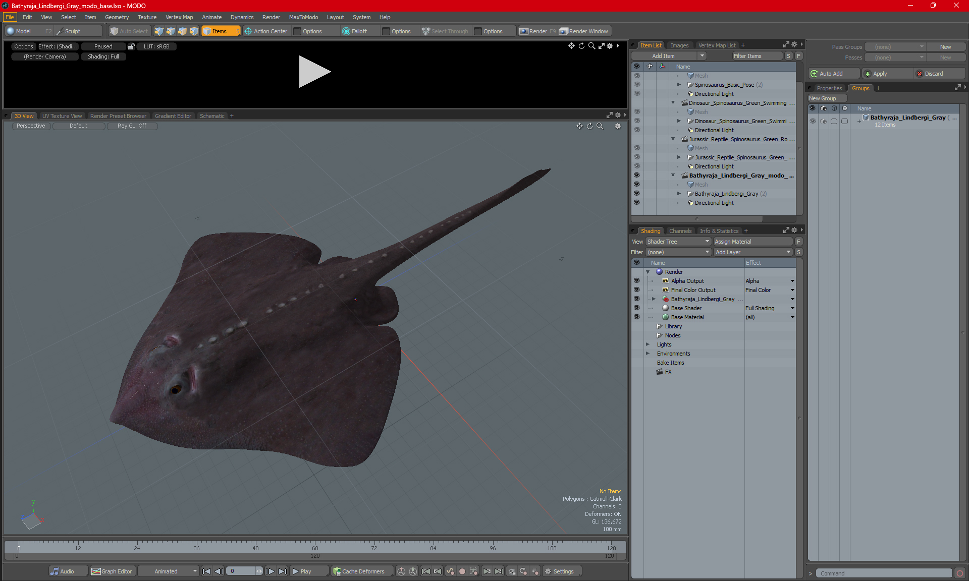 Bathyraja Lindbergi Gray 3D model