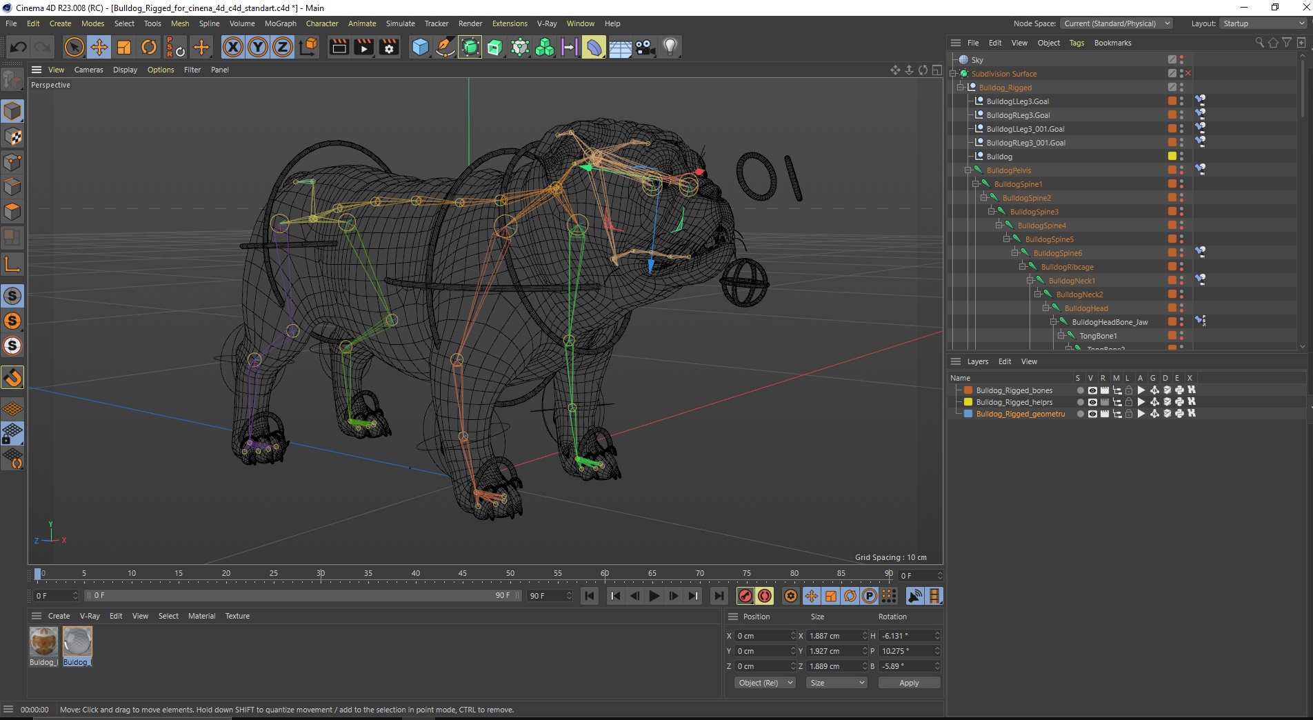 3D Bulldog Rigged for Cinema 4D model