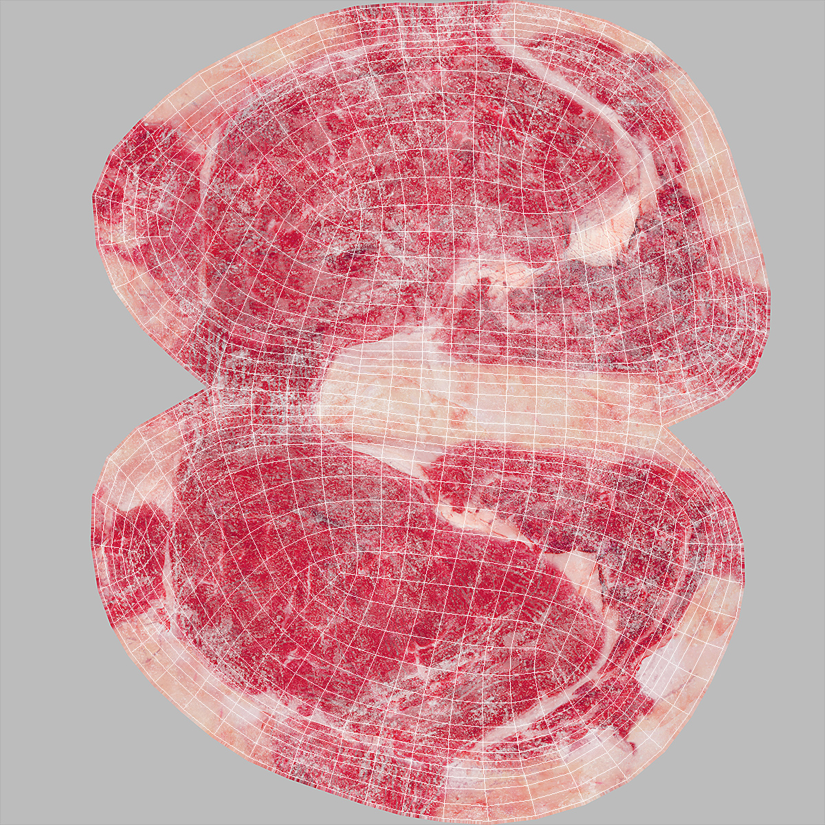 Meat Slice Frozen on Plates 3D