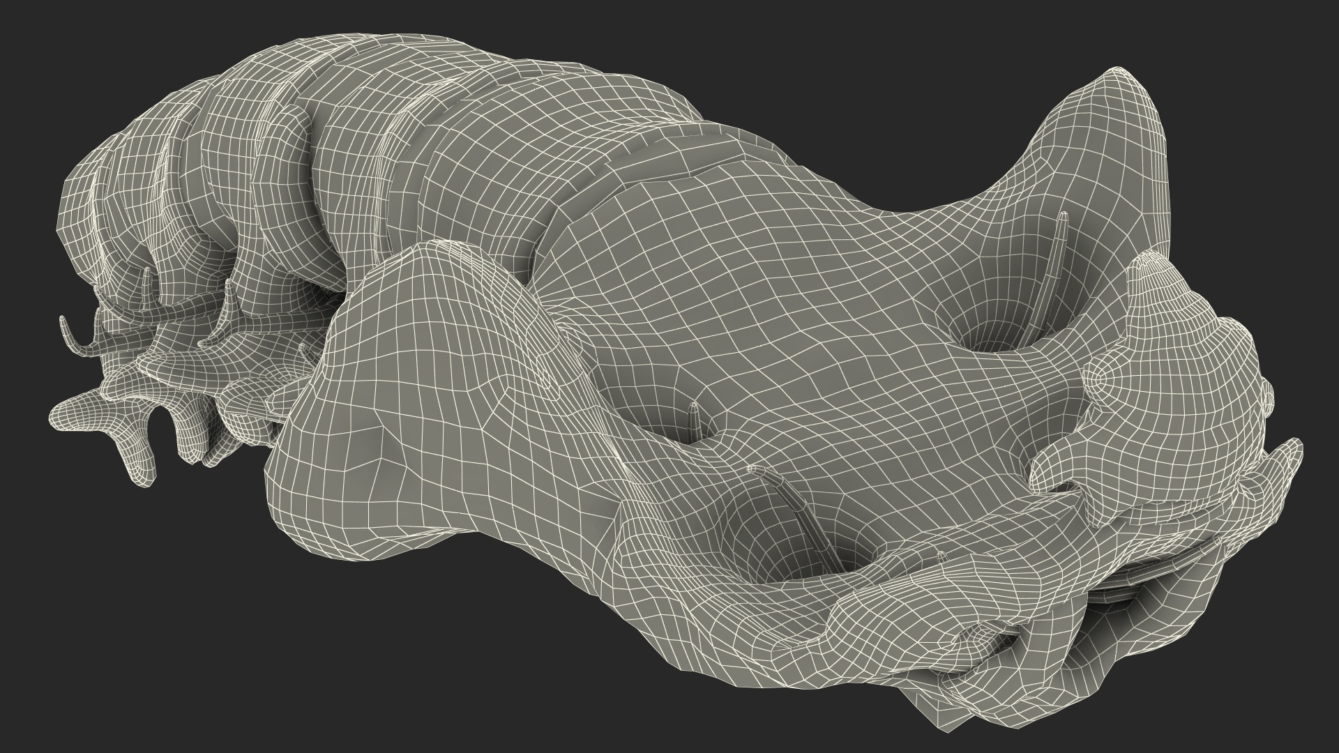 3D model Spinal Column with Hernia
