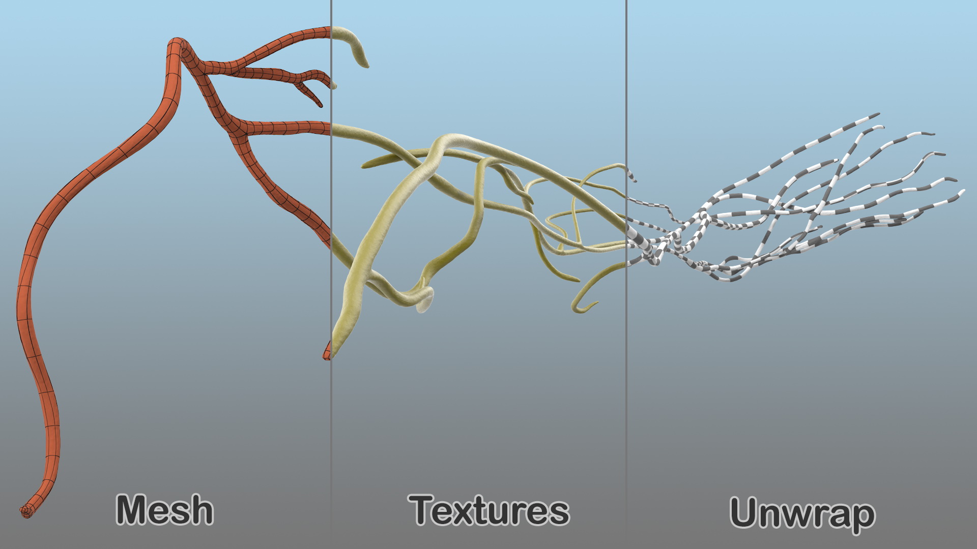 Human Leg Nervous System 3D model
