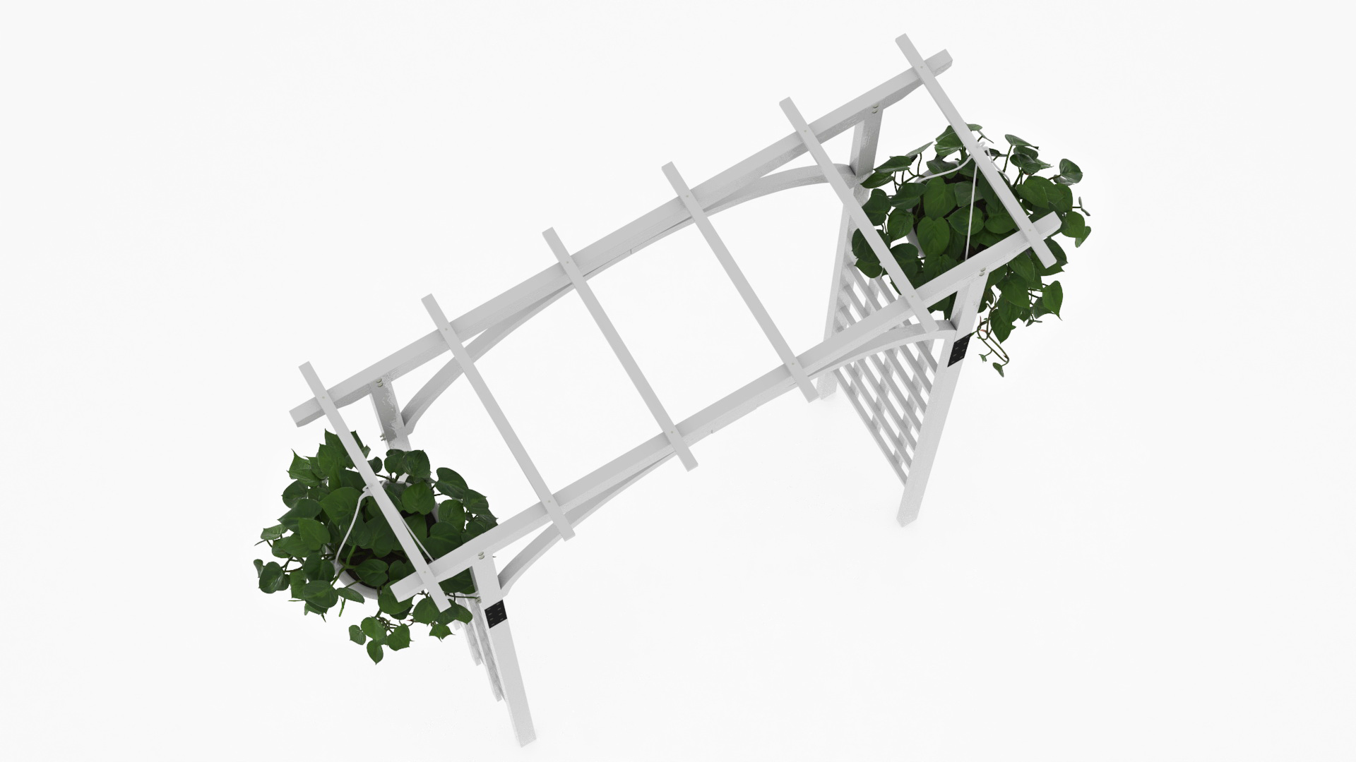 Garden Arch with Climbing Plants 3D