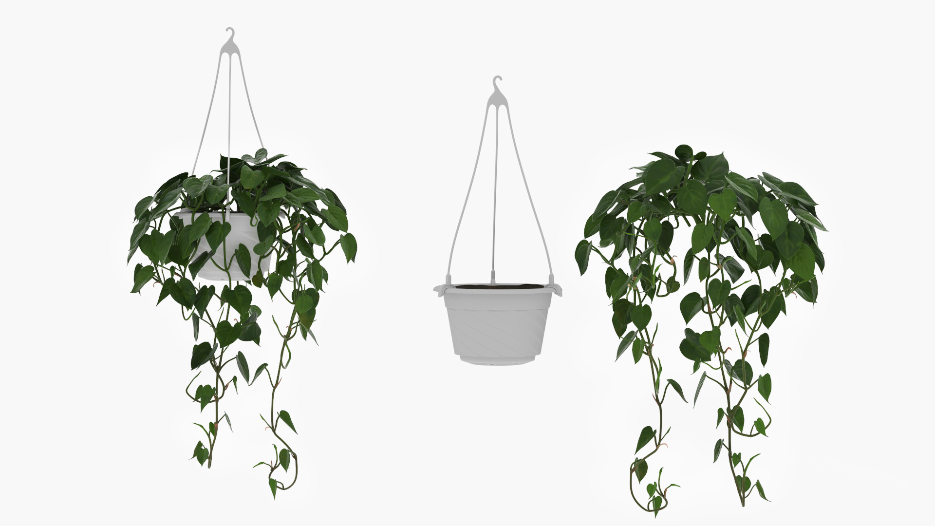 Garden Arch with Climbing Plants 3D