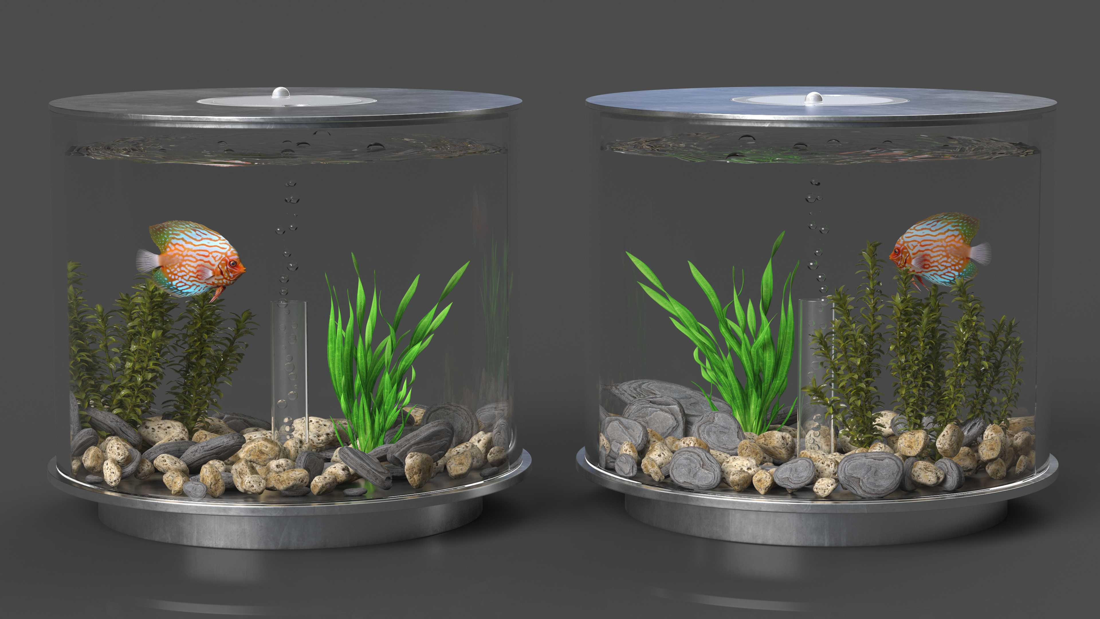 Chrome Cylinder Aquarium 3D model