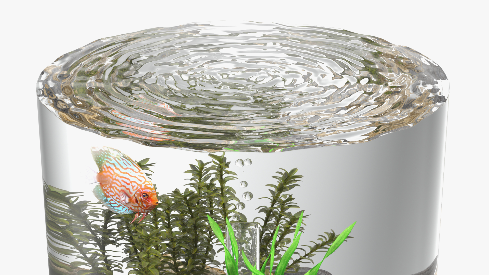 Chrome Cylinder Aquarium 3D model