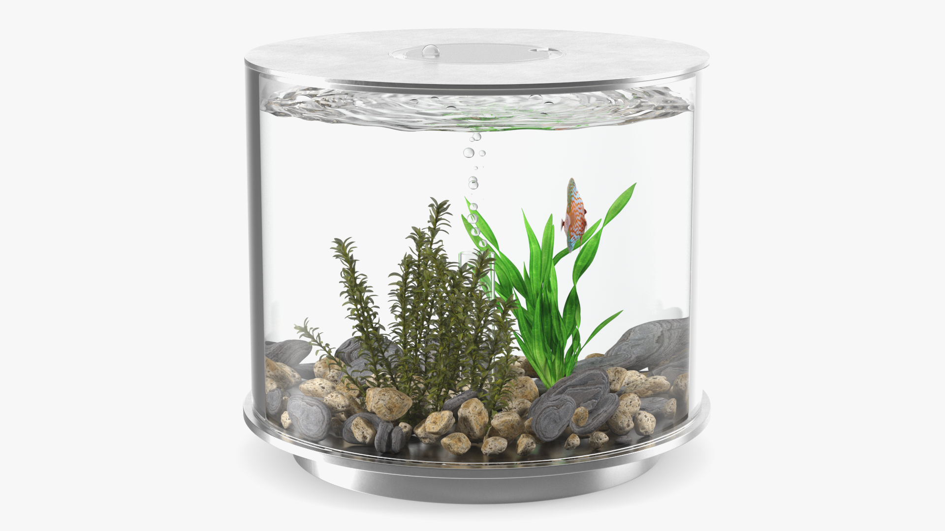 Chrome Cylinder Aquarium 3D model