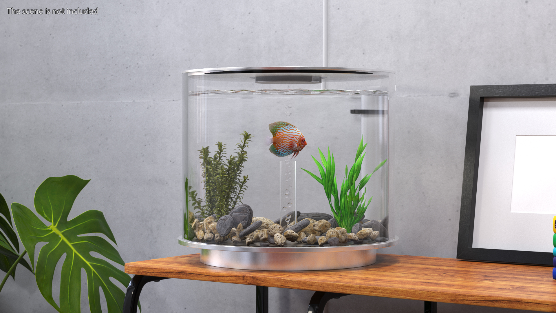 Chrome Cylinder Aquarium 3D model