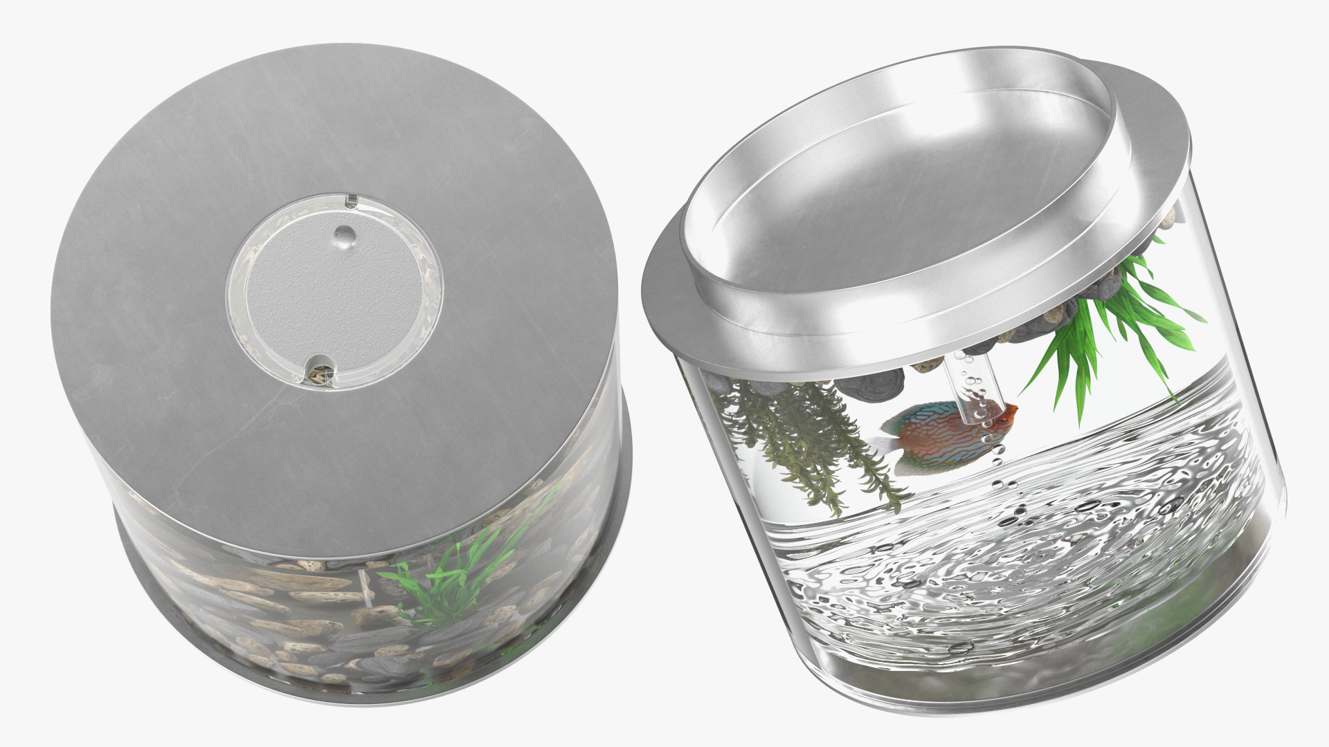 Chrome Cylinder Aquarium 3D model