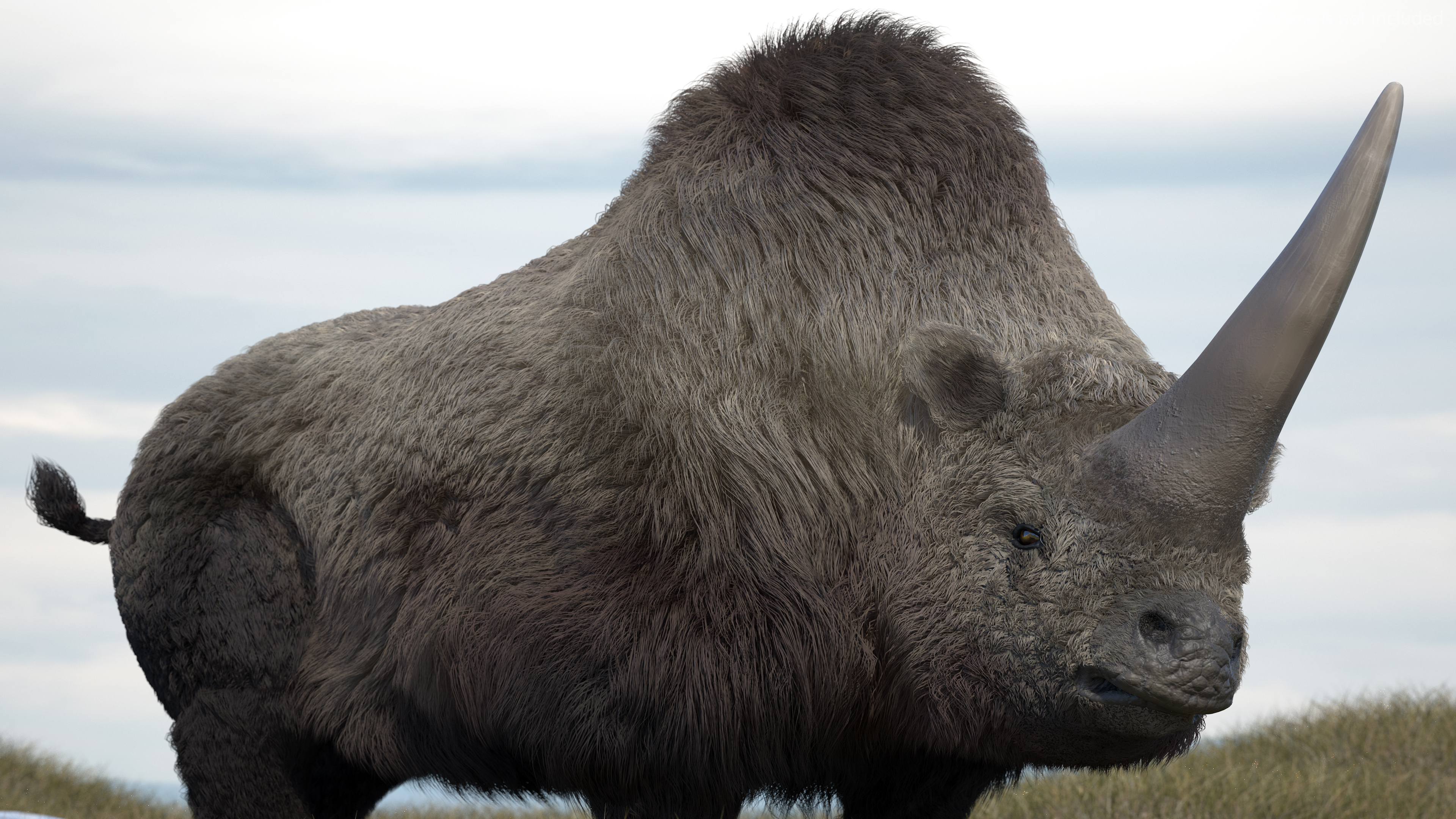 Elasmotherium Rigged Fur 3D model