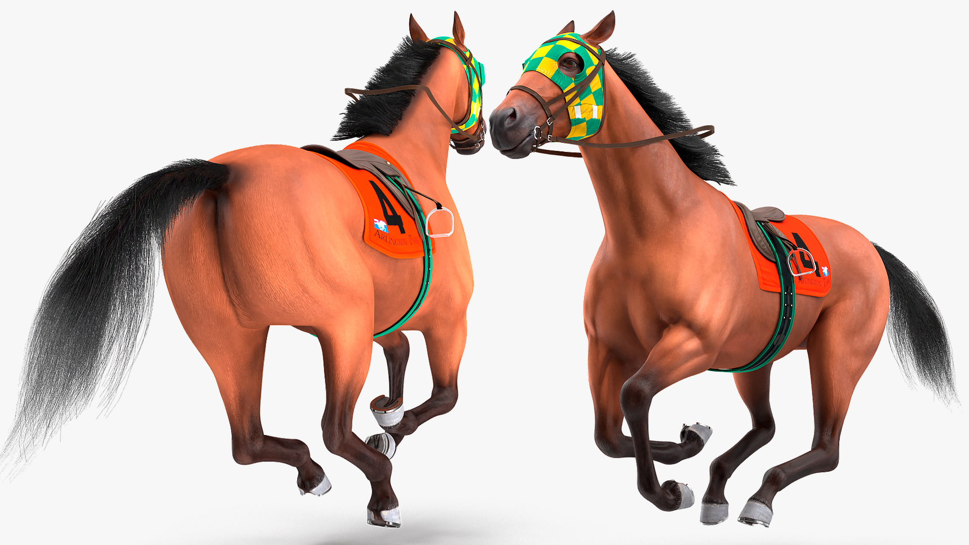 Bay Racehorse Fur Rigged 3D model