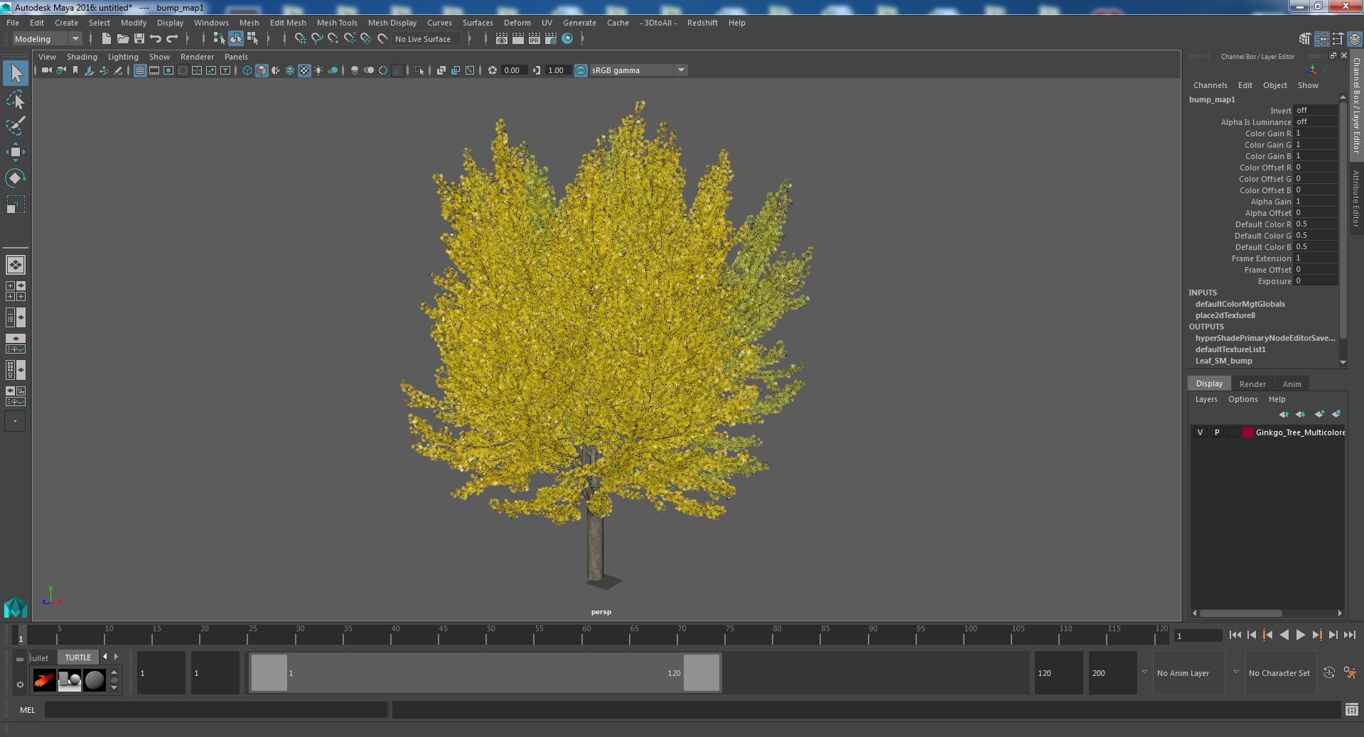 Ginkgo Tree Multicolored 3D model