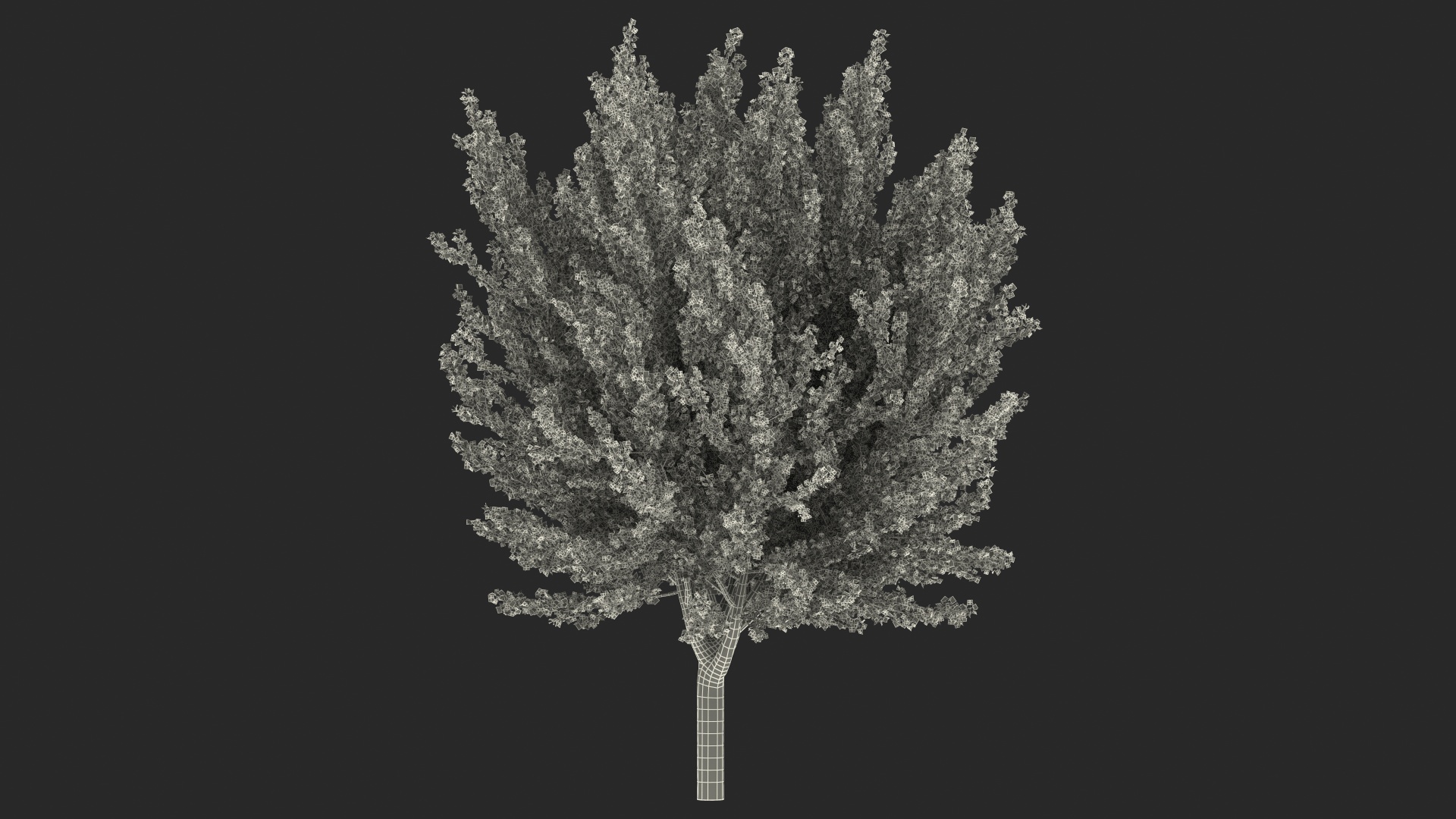 Ginkgo Tree Multicolored 3D model