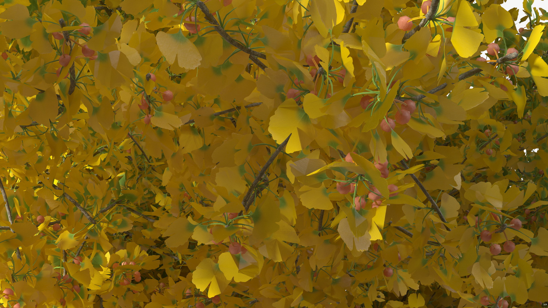 Ginkgo Tree Multicolored 3D model