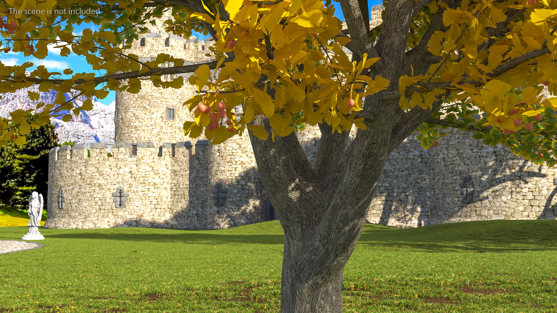 Ginkgo Tree Multicolored 3D model